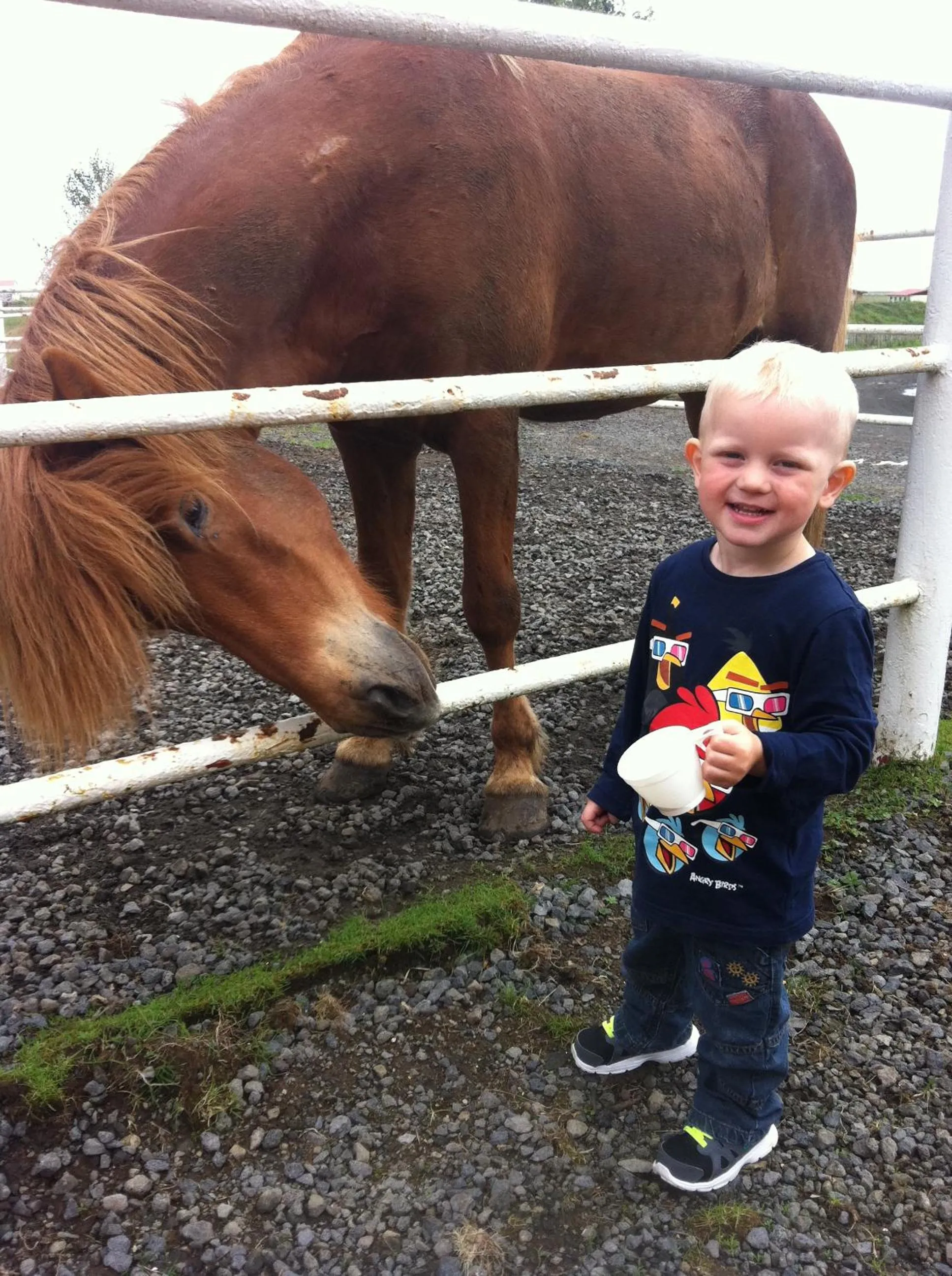 Country Dream - Langholt 2