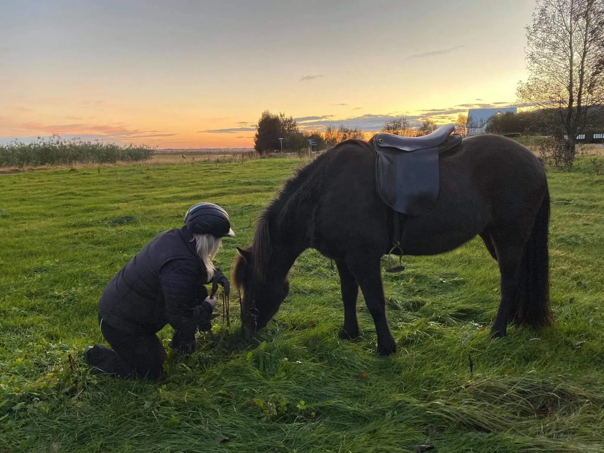 Country Dream - Langholt 2