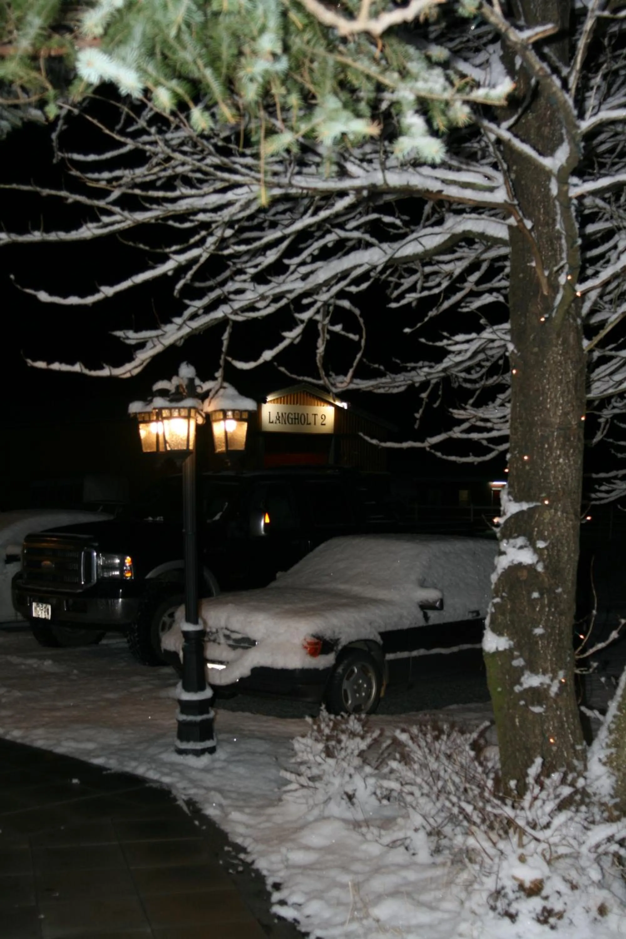 Country Dream - Langholt 2