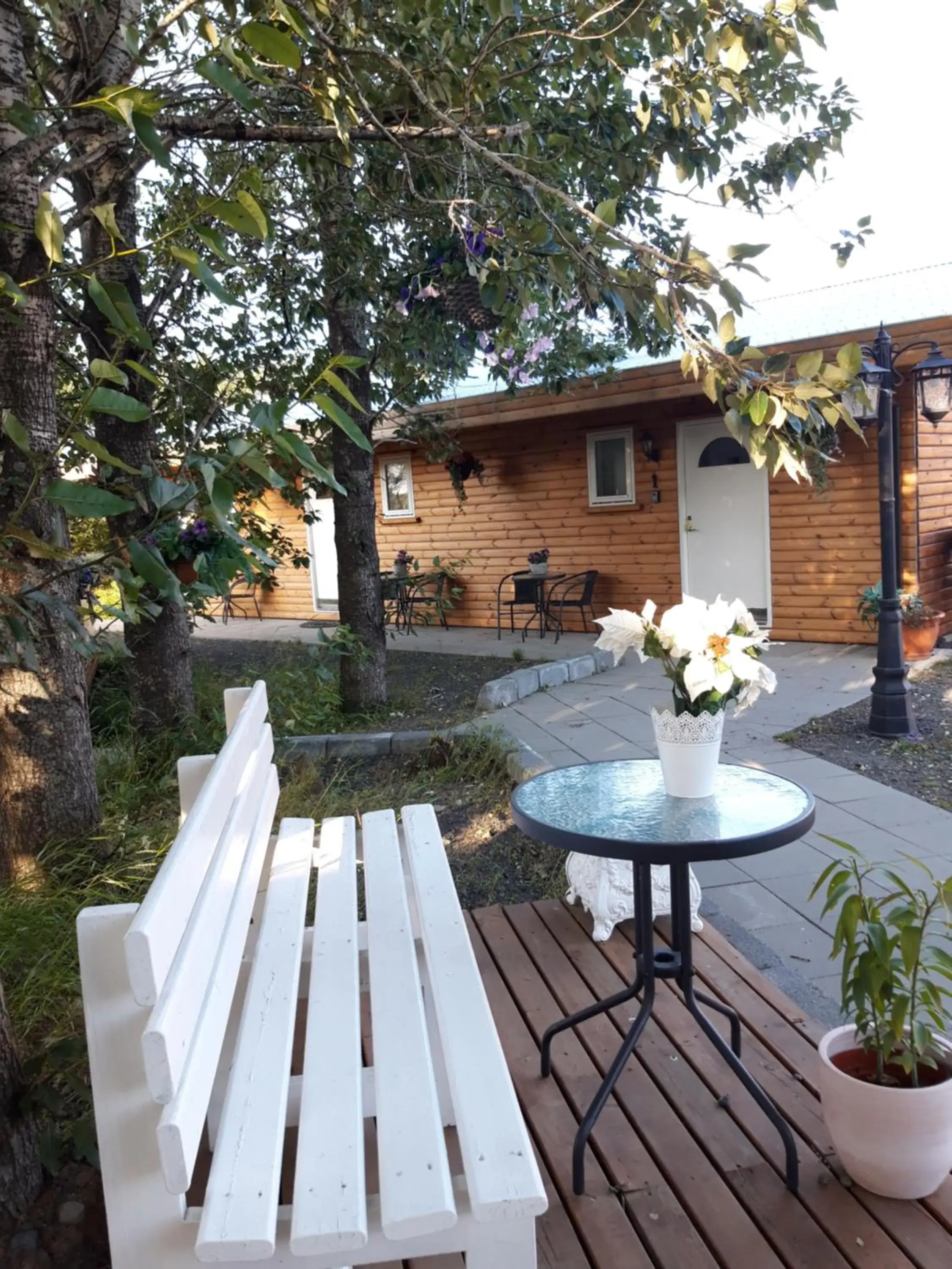 Studio (3 Adults) in Country Dream - Langholt 2 Studio (3 Adults) in Country Dream - Langholt 2