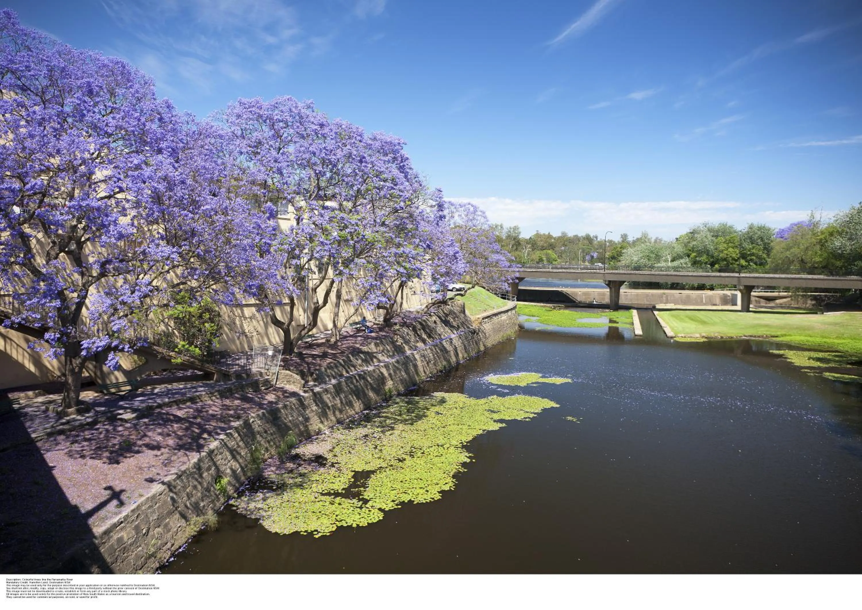 Neighbourhood in APX Parramatta