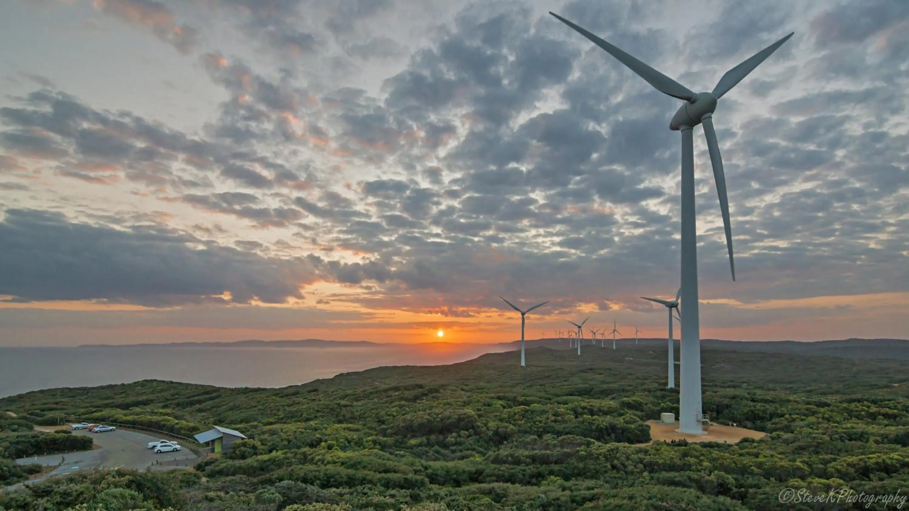 Spring in Mandala Ace Albany Hotel