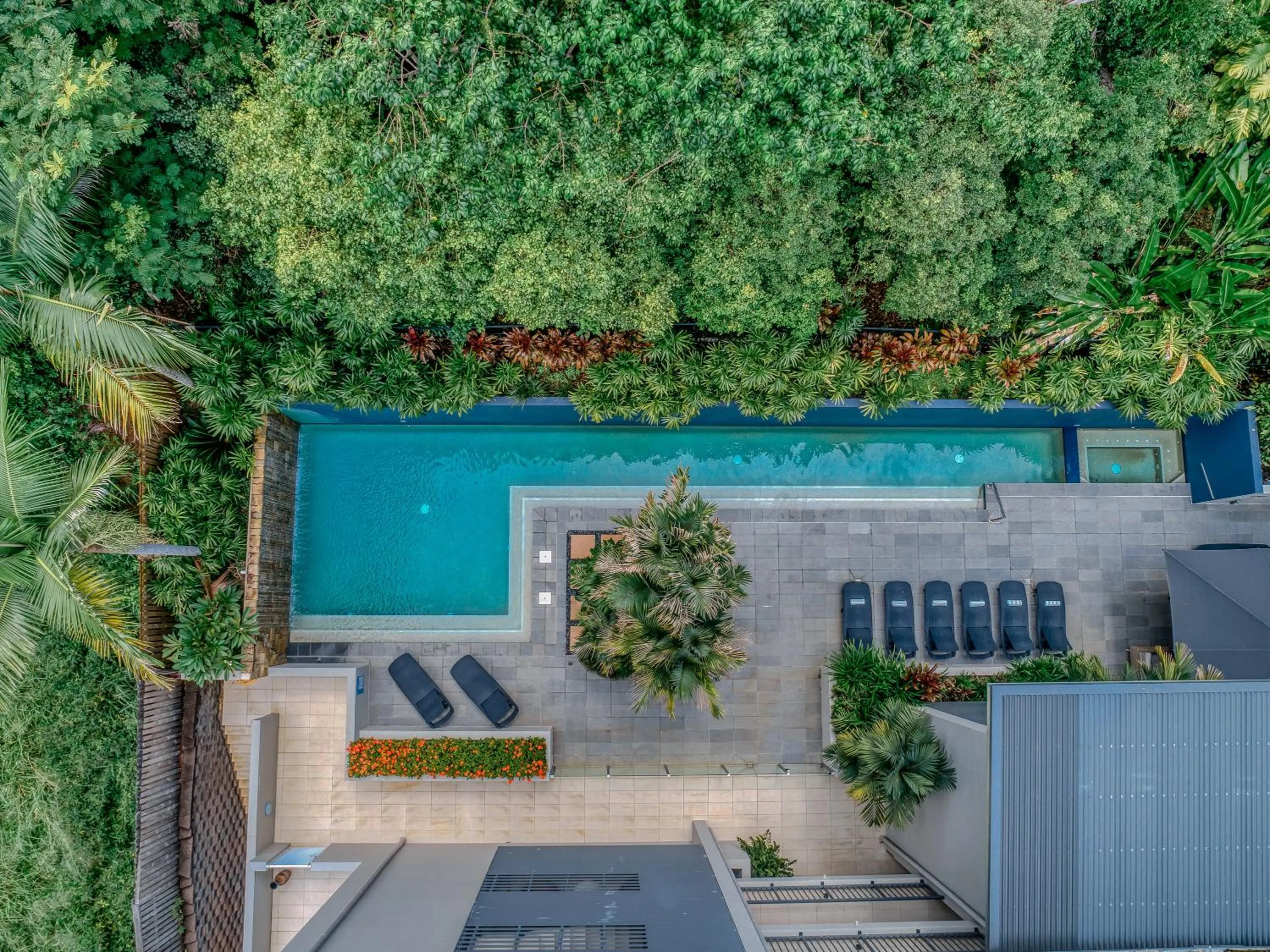 Swimming pool in Coconut Grove
