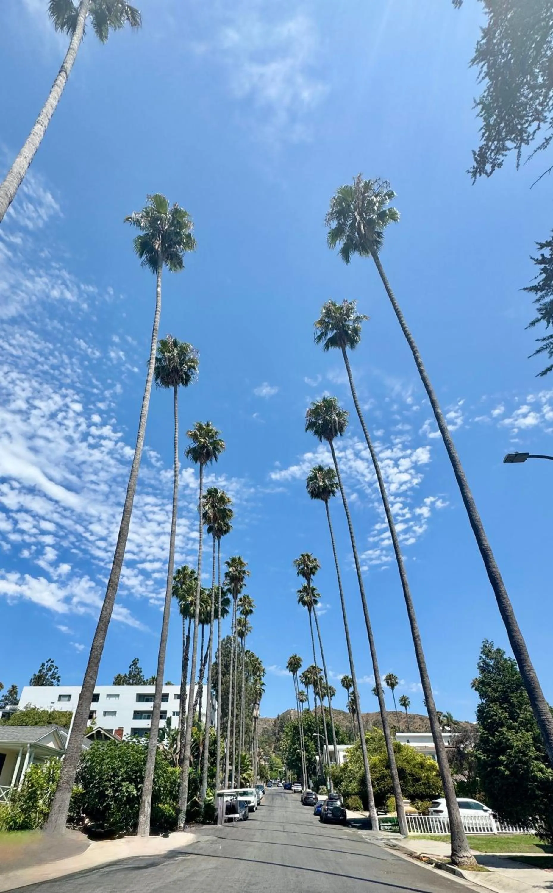 Quiet street view in Dresden B & B