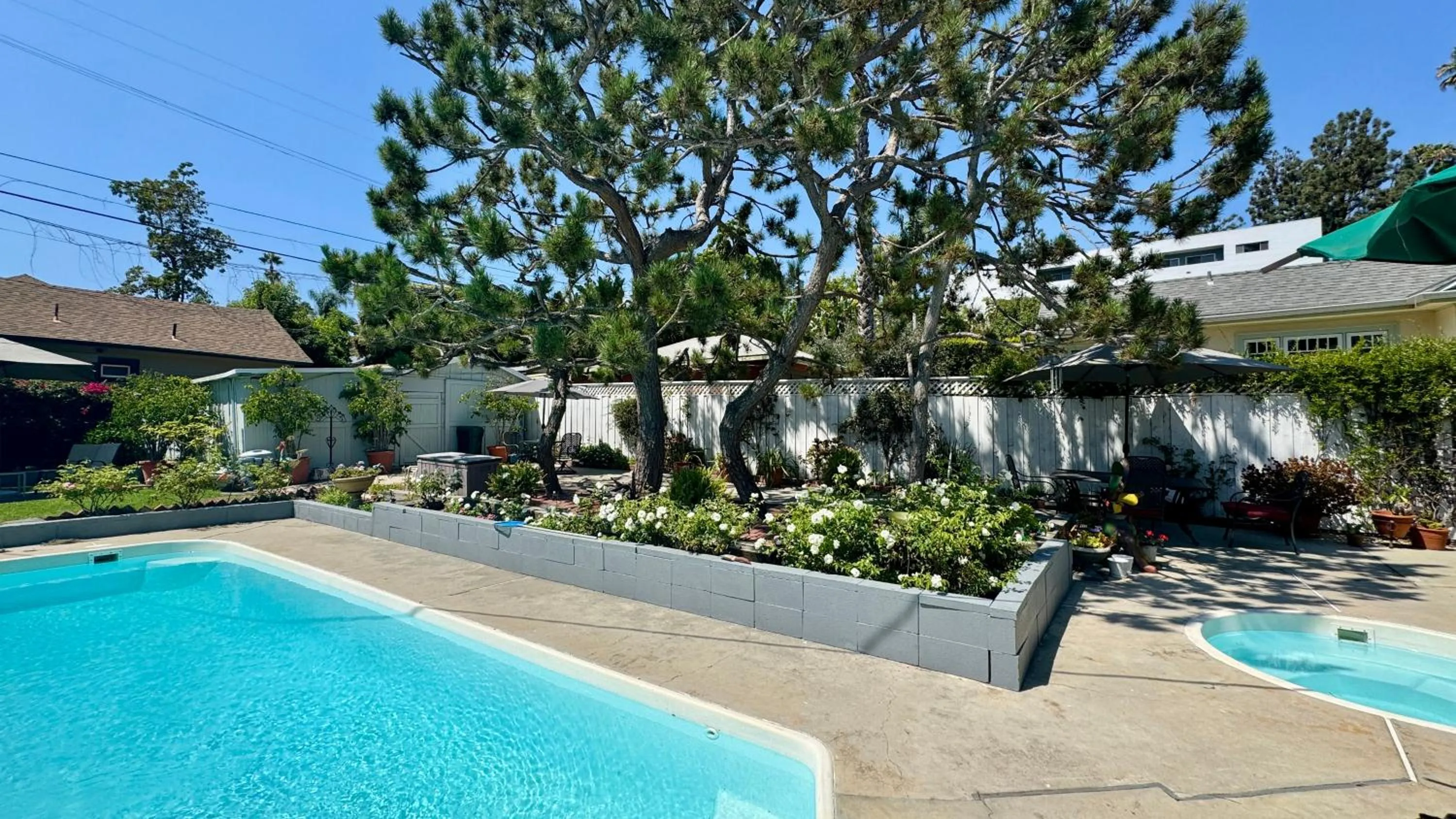 Garden in Dresden B & B