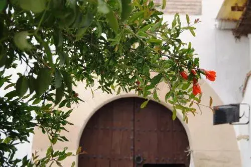 Casa de la Placeta del Rincón Casa de la Placeta del Rincón