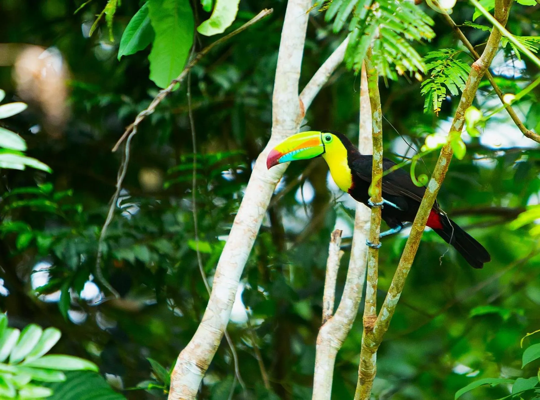 Natural landscape in Aninga Lodge