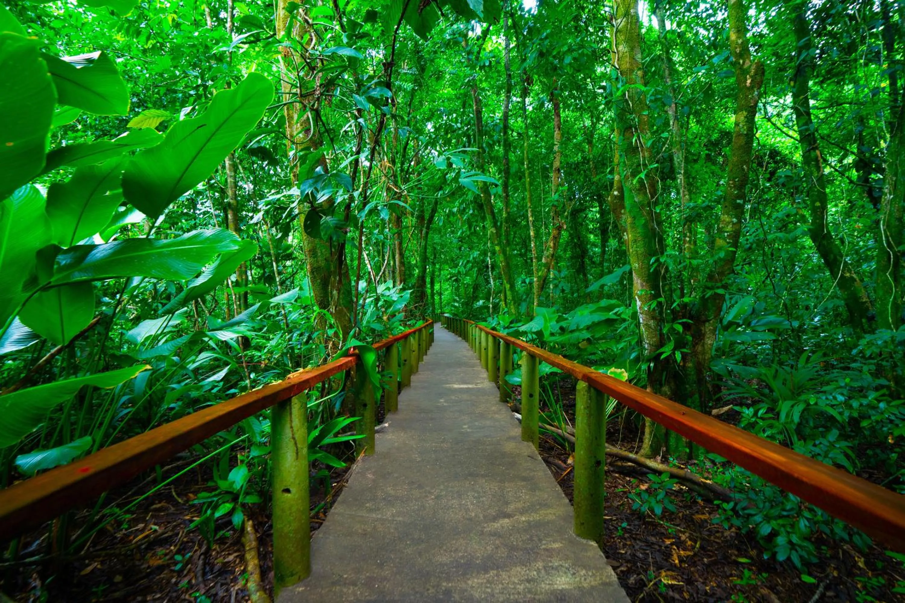 Activities in Aninga Lodge