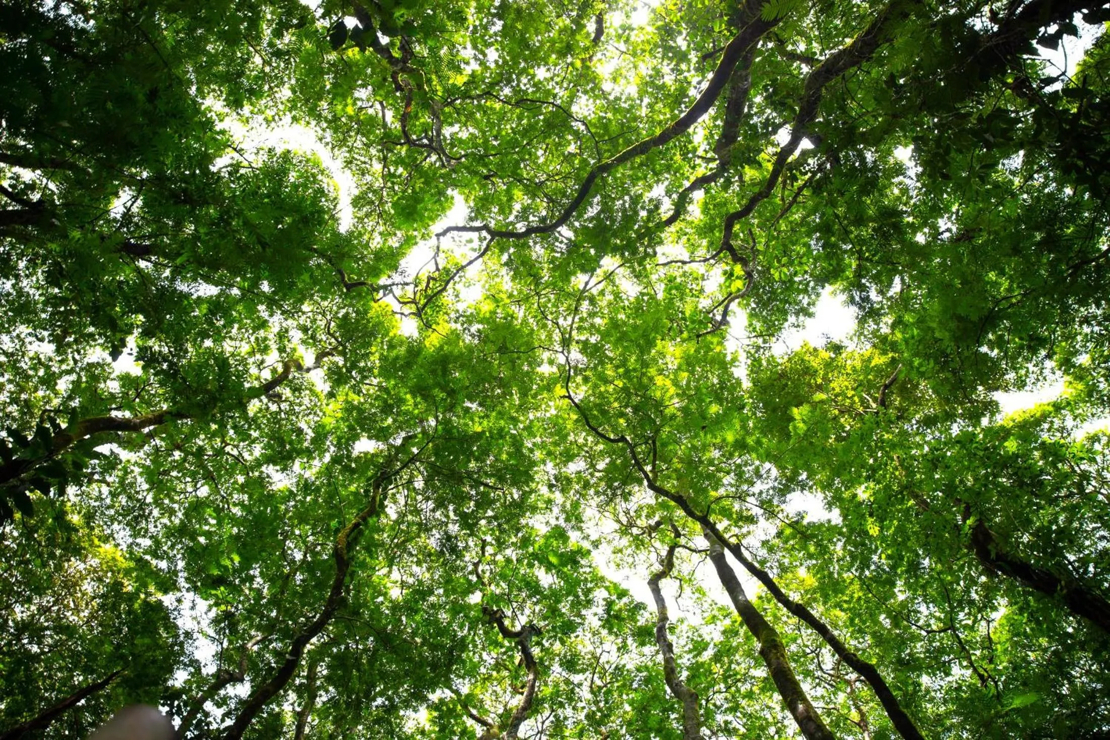Natural landscape in Aninga Lodge