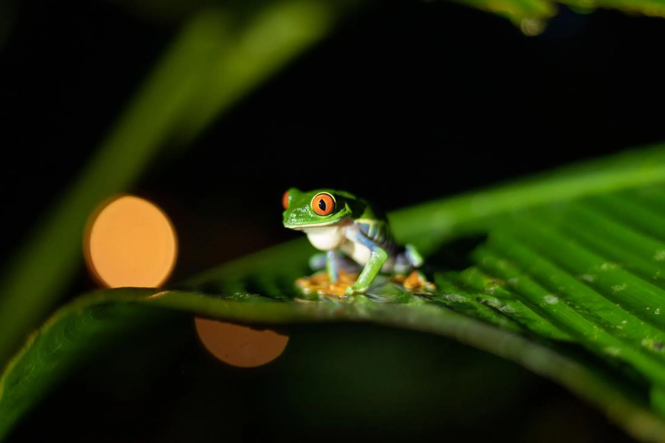 Natural landscape in Aninga Lodge