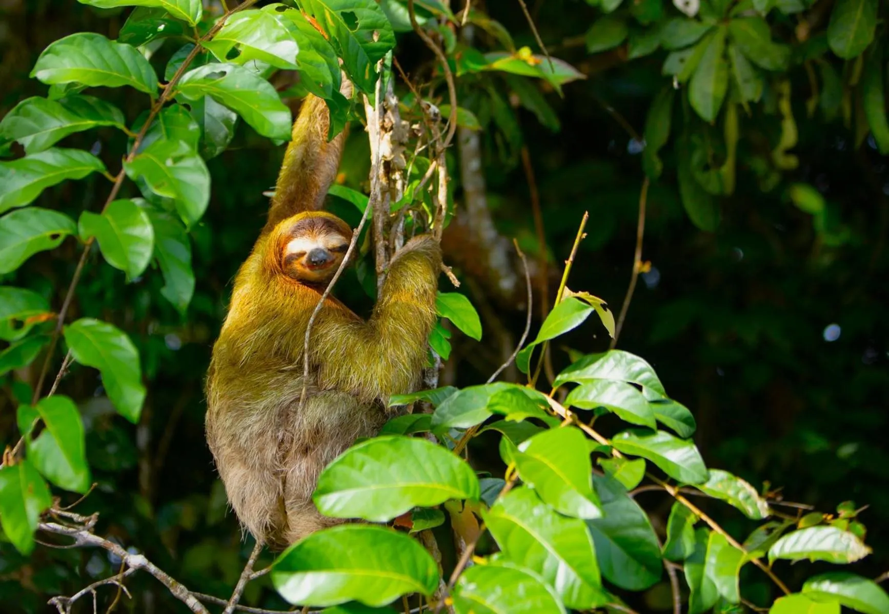 Natural landscape in Aninga Lodge