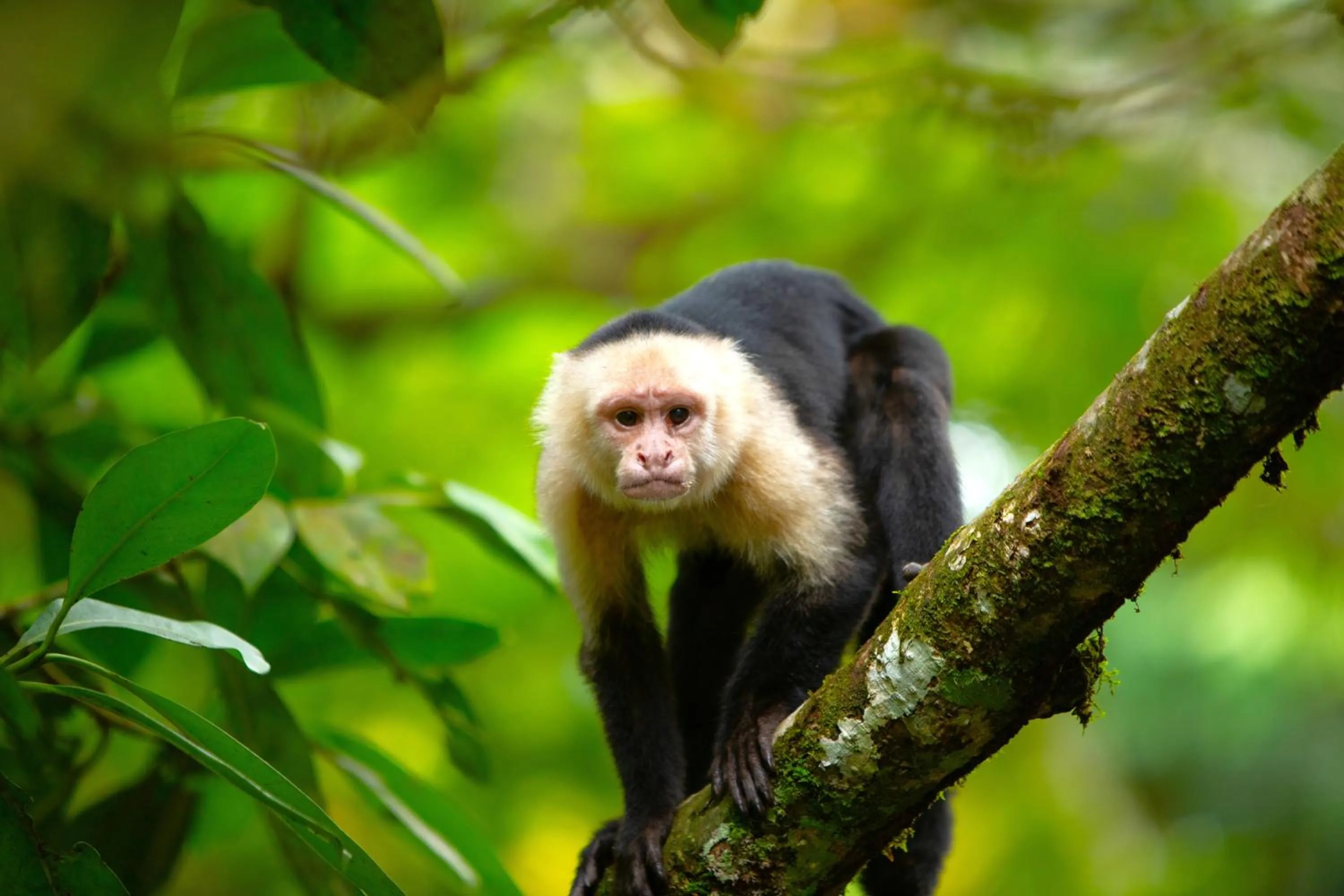 Natural landscape in Aninga Lodge