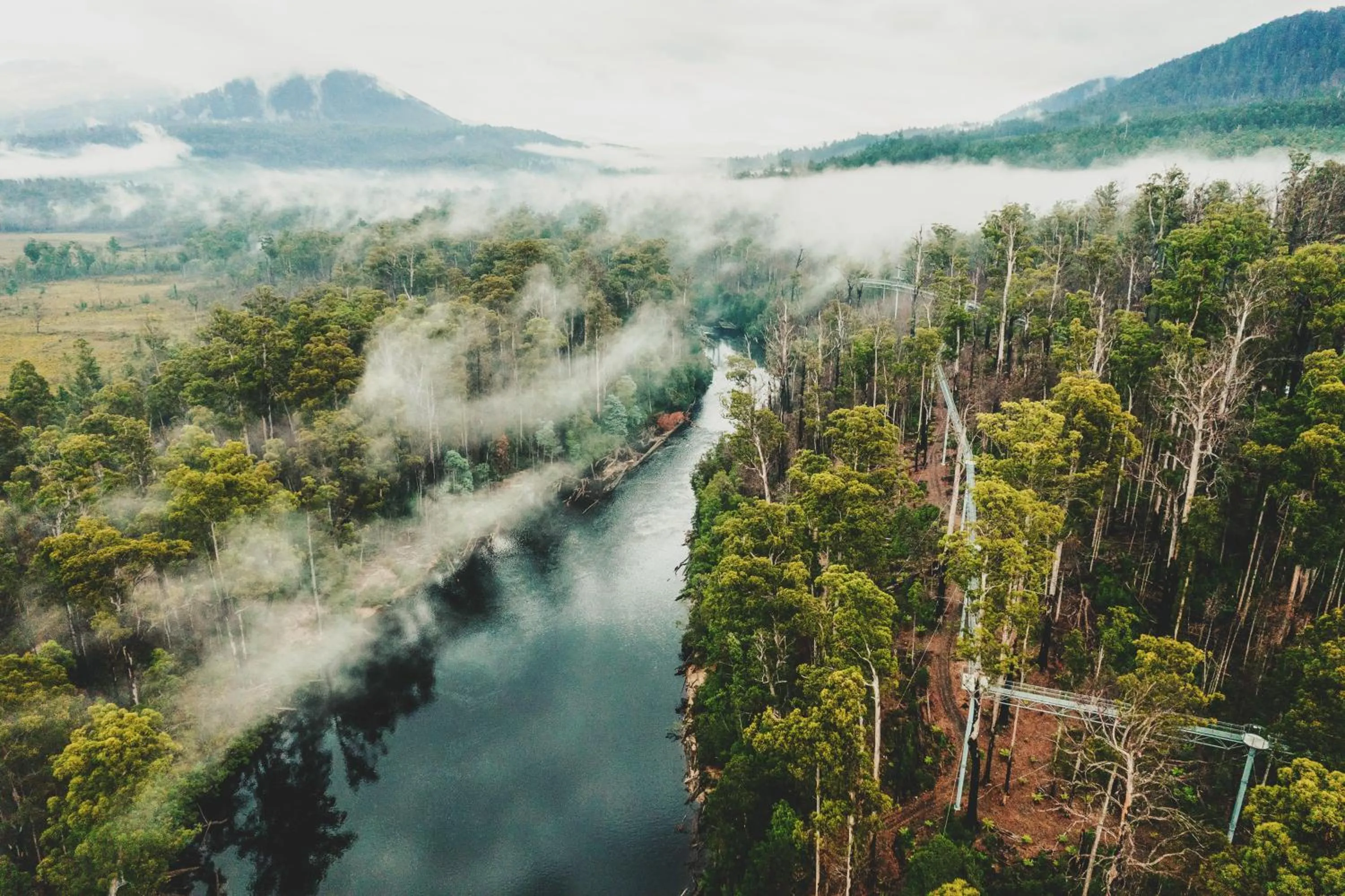 Nearby landmark in Tahune AirWalk Cabin and Lodge