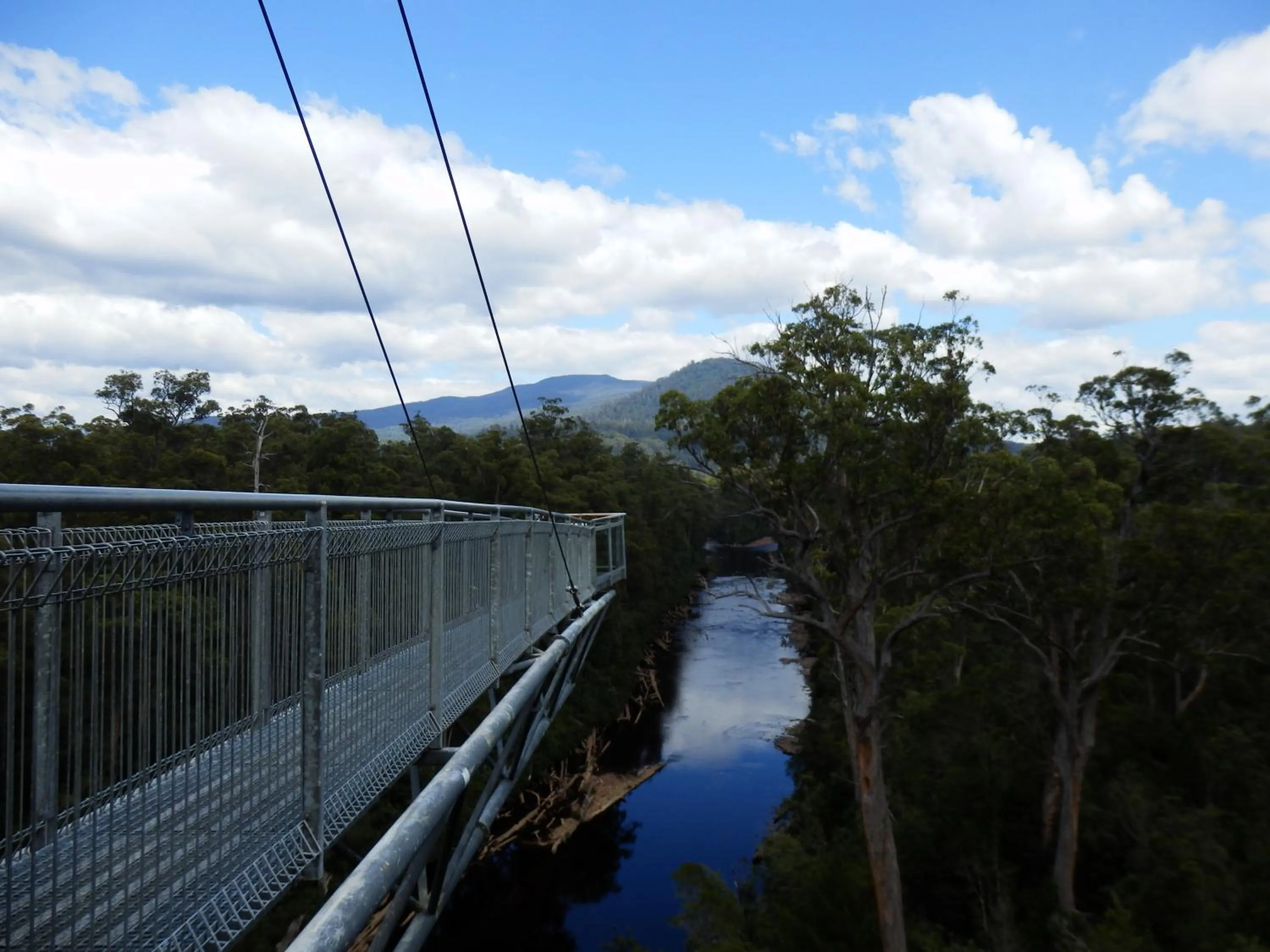 Day in Tahune AirWalk Cabin and Lodge