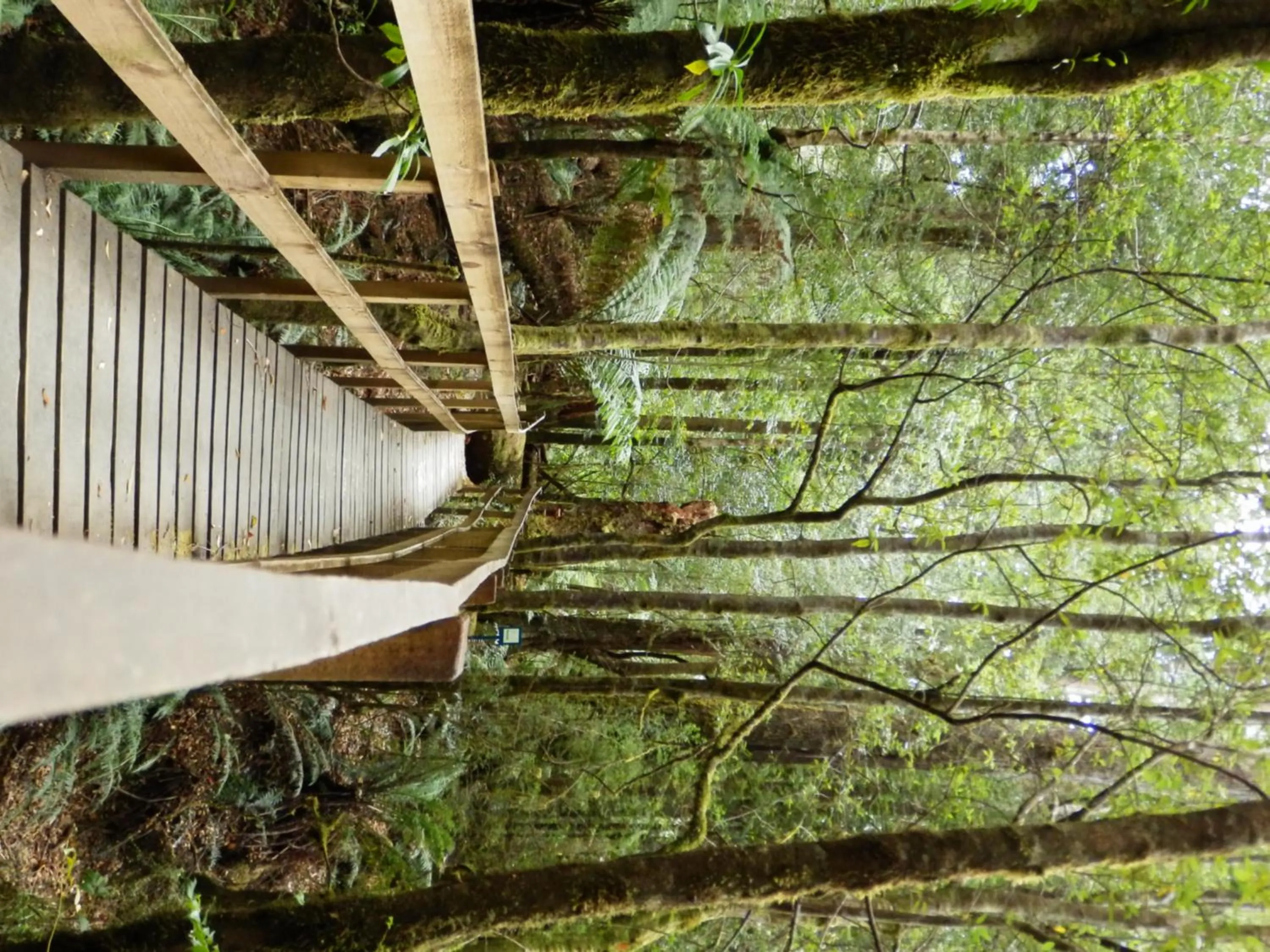 Natural landscape in Tahune AirWalk Cabin and Lodge