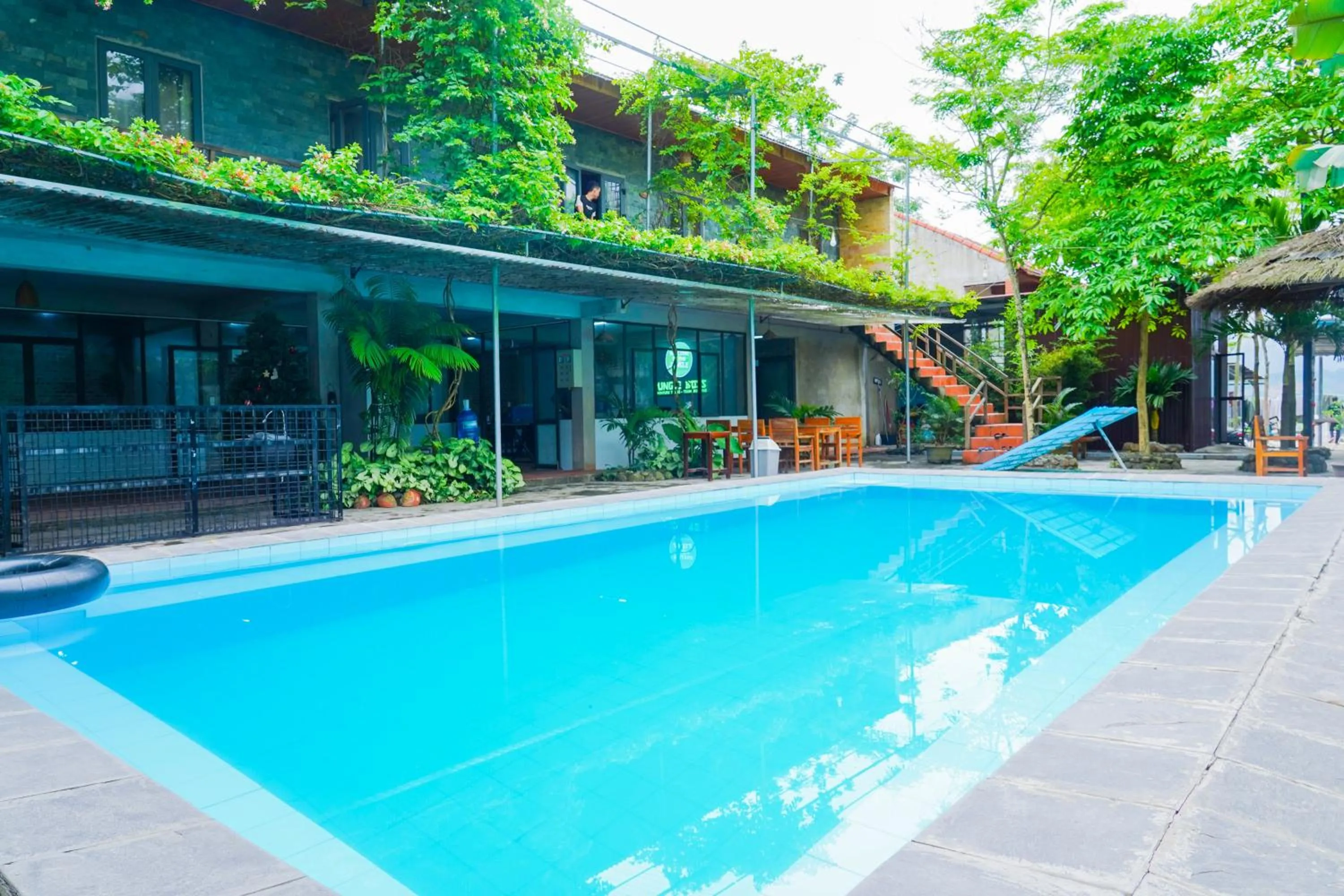 Jungle Boss Travel Lodge