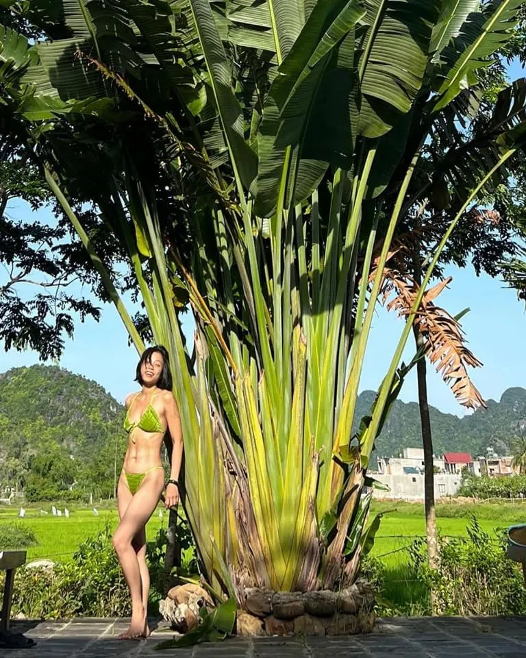 People in Jungle Boss Travel Lodge