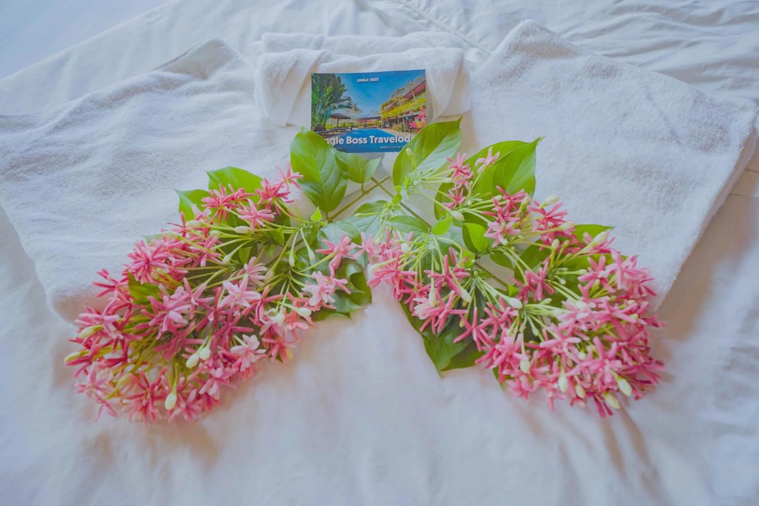 Bed in Jungle Boss Travel Lodge