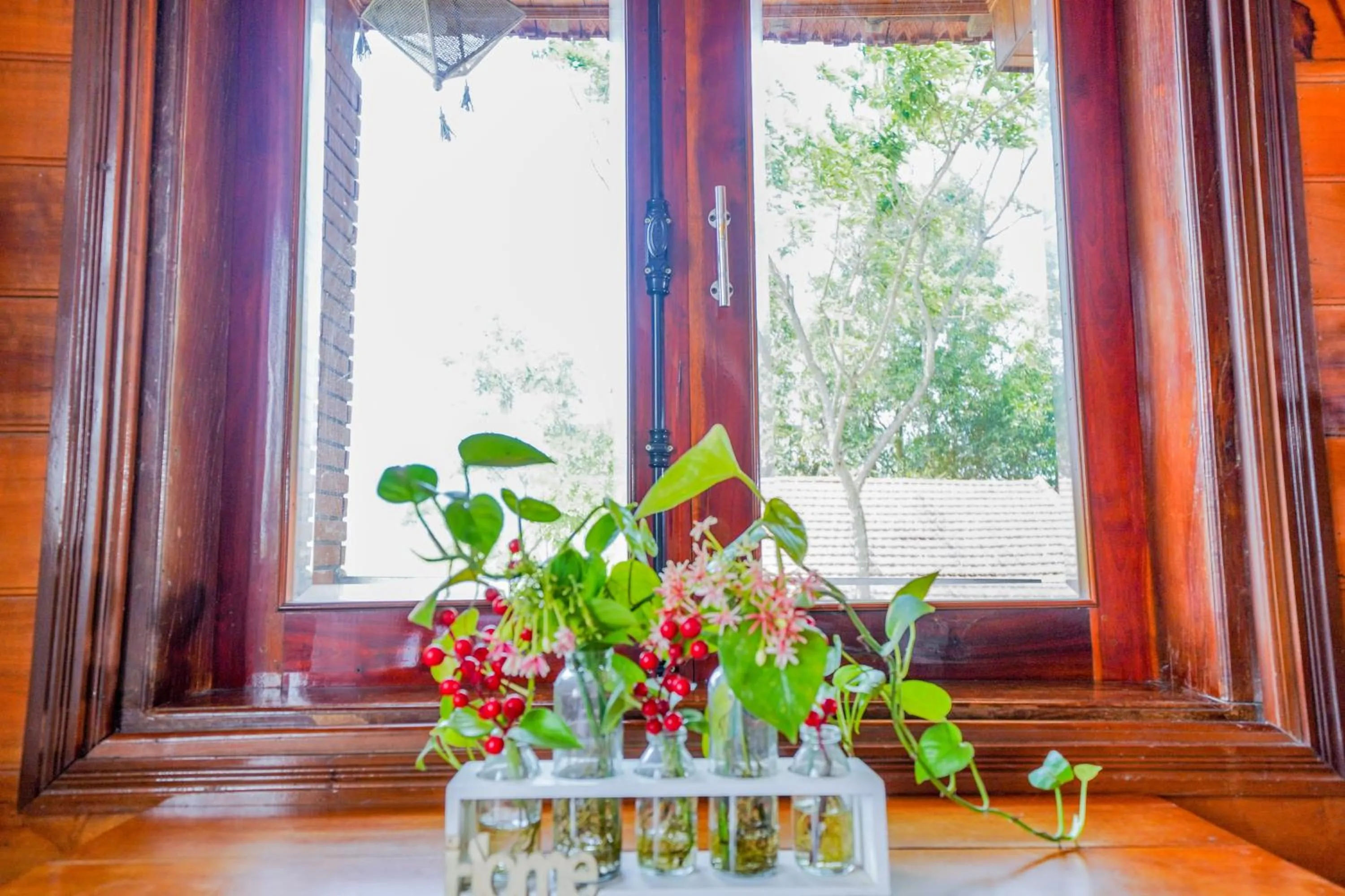 Jungle Boss Travel Lodge