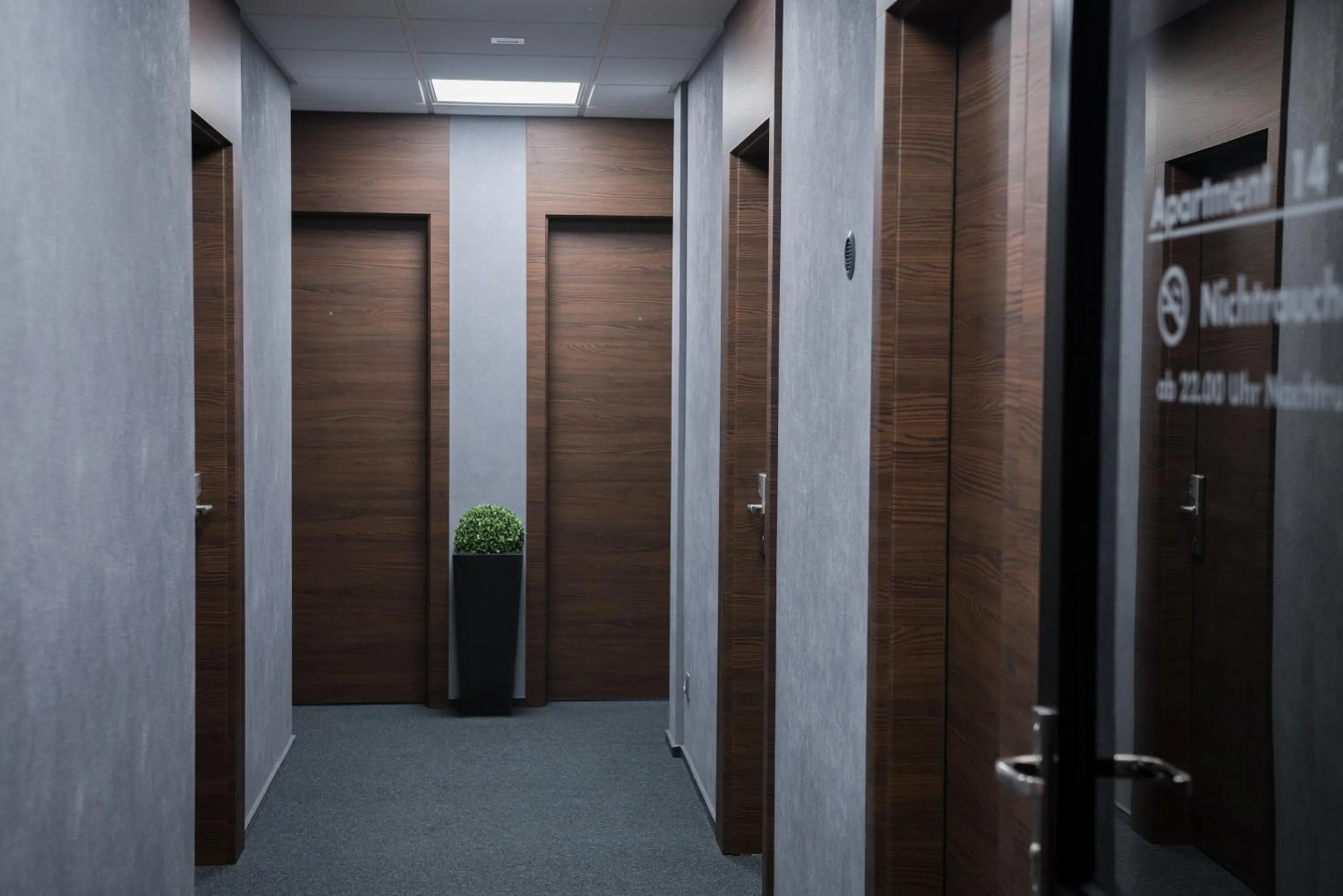 Area and facilities in Triumph Inn Pension