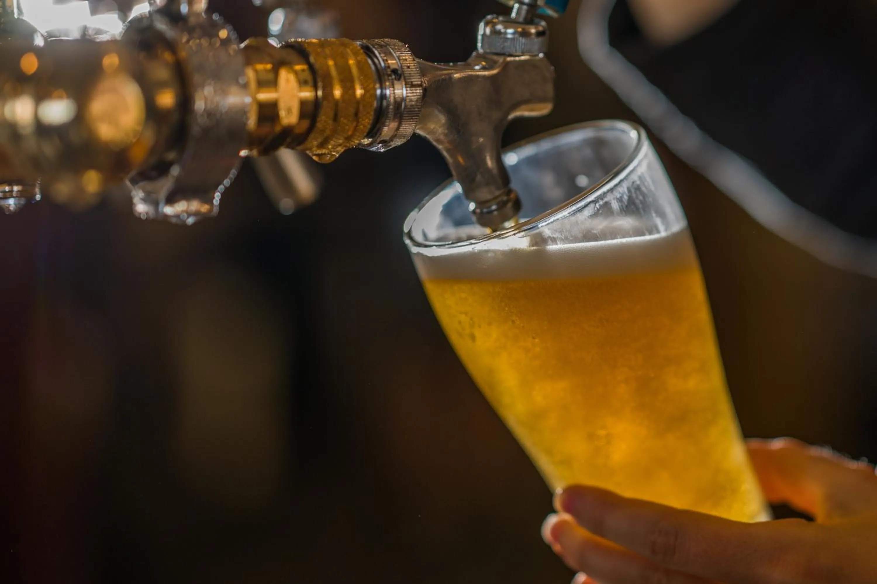 Restaurant/places to eat in Seafront Hotel Kangaroo Island