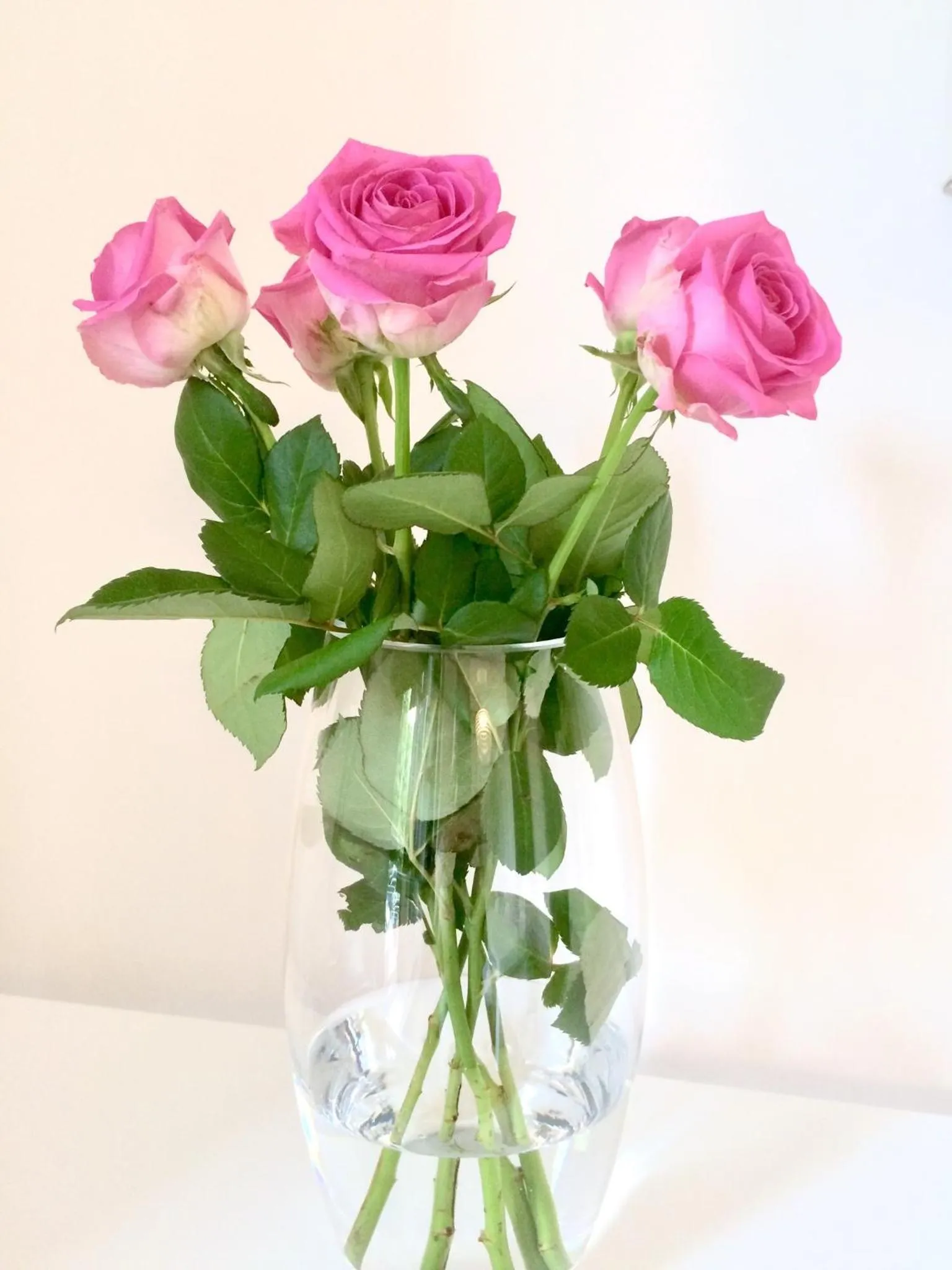 Decorative detail in Chambre d'hôtes Du côté des remparts