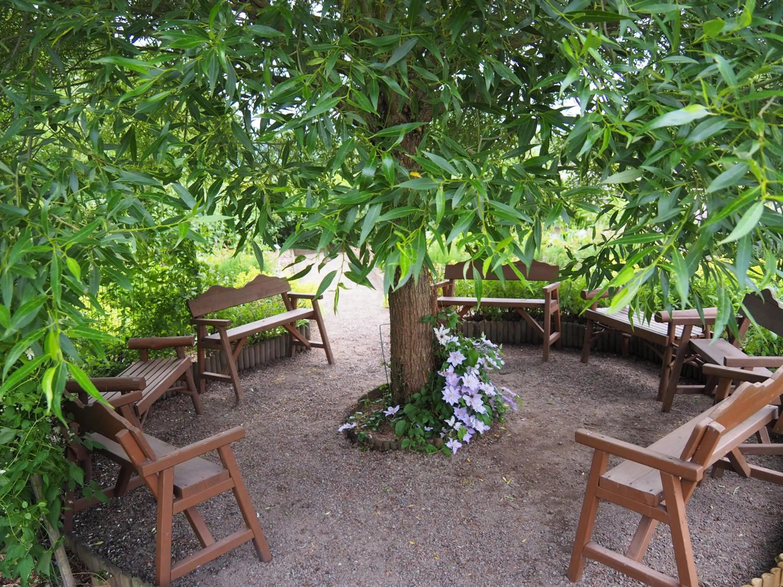 Garden in Hillesgården