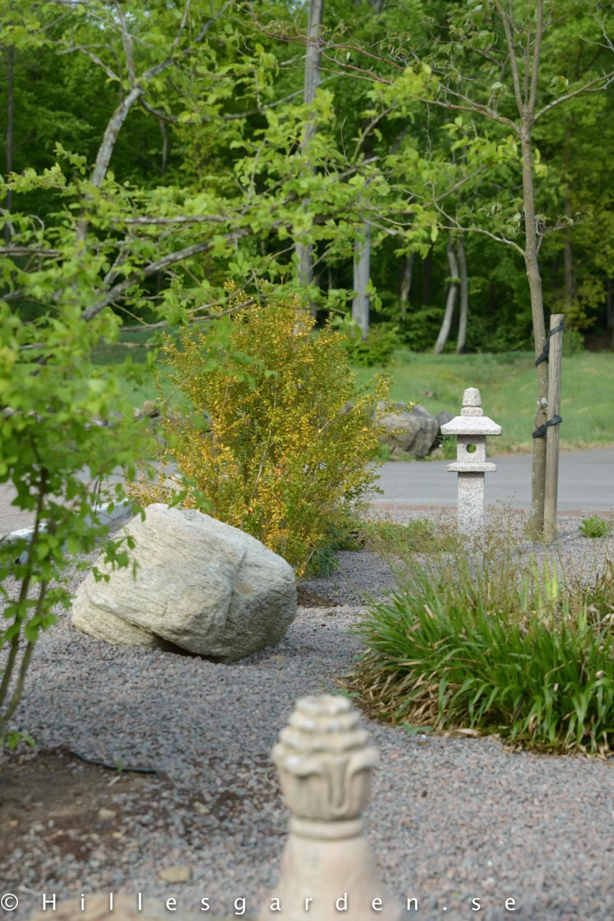 Natural landscape in Hillesgården