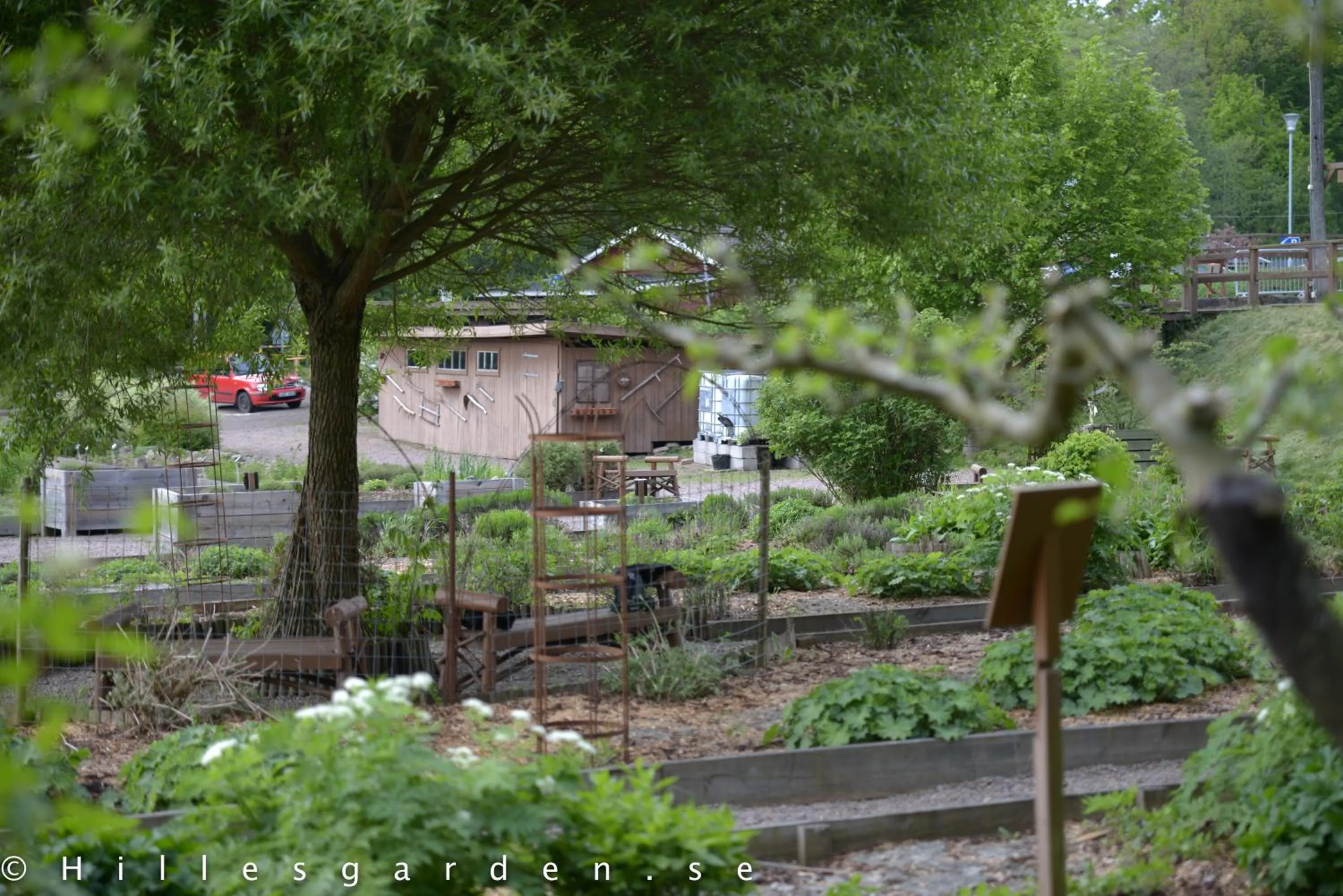 Natural landscape in Hillesgården