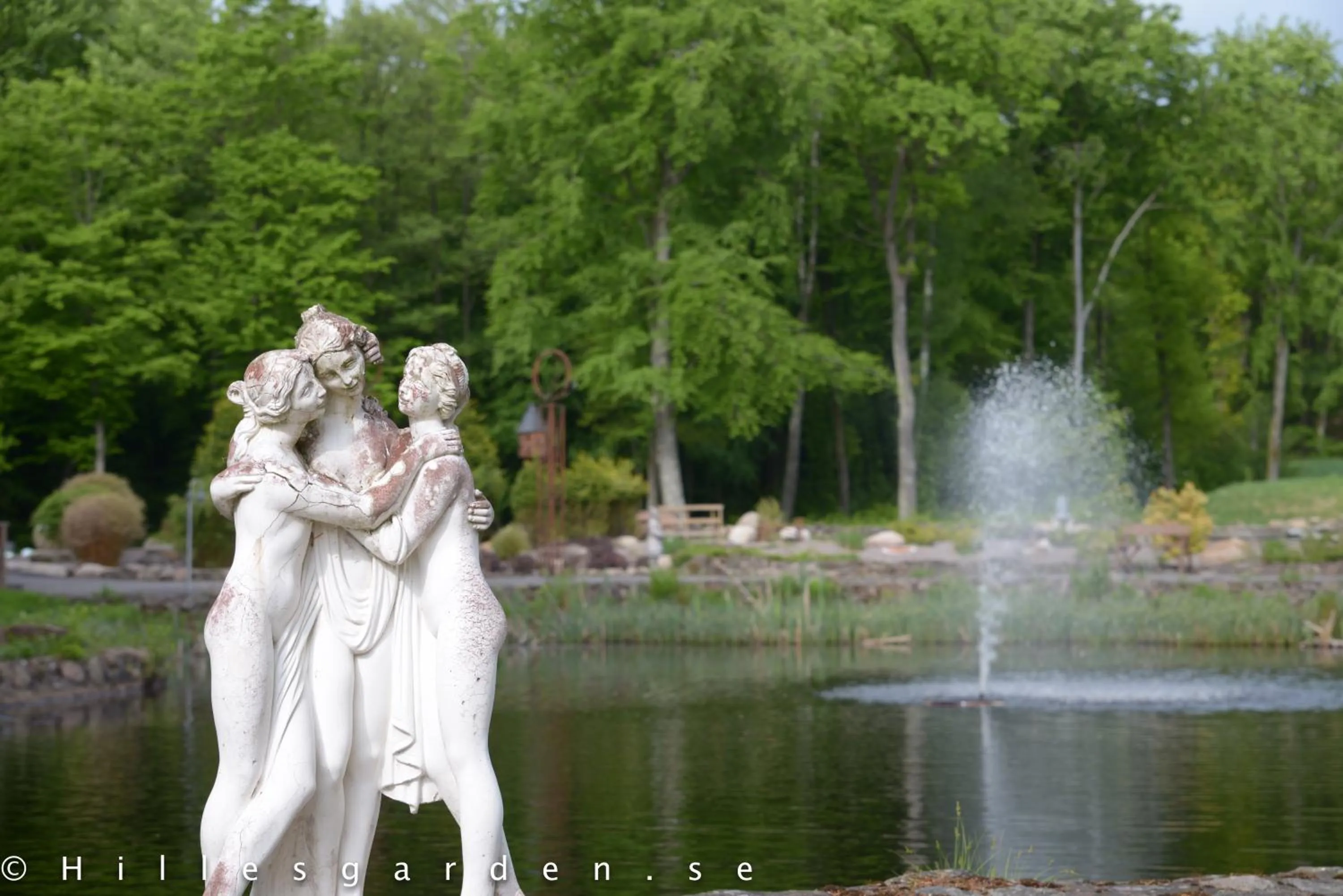 Natural landscape in Hillesgården