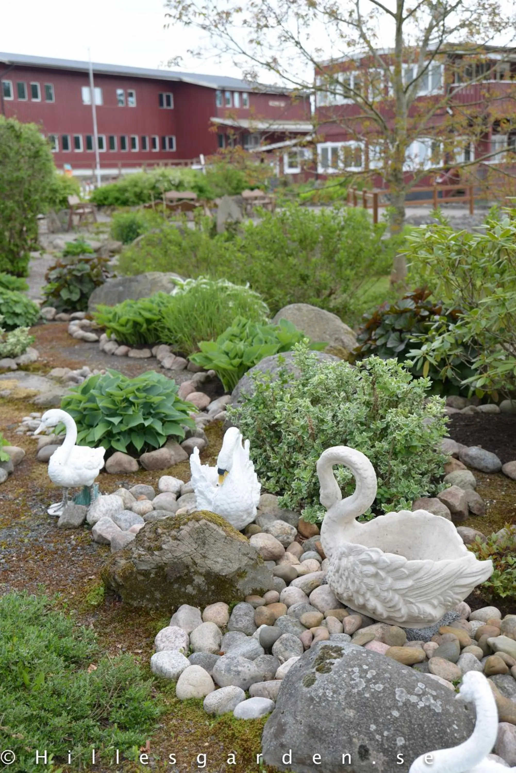 Natural landscape in Hillesgården