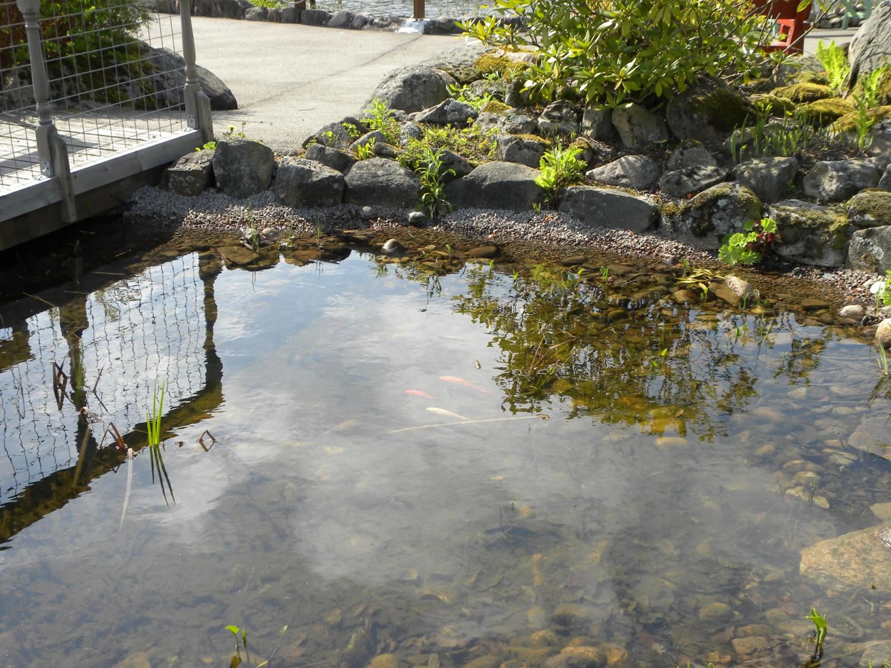 Natural landscape in Hillesgården