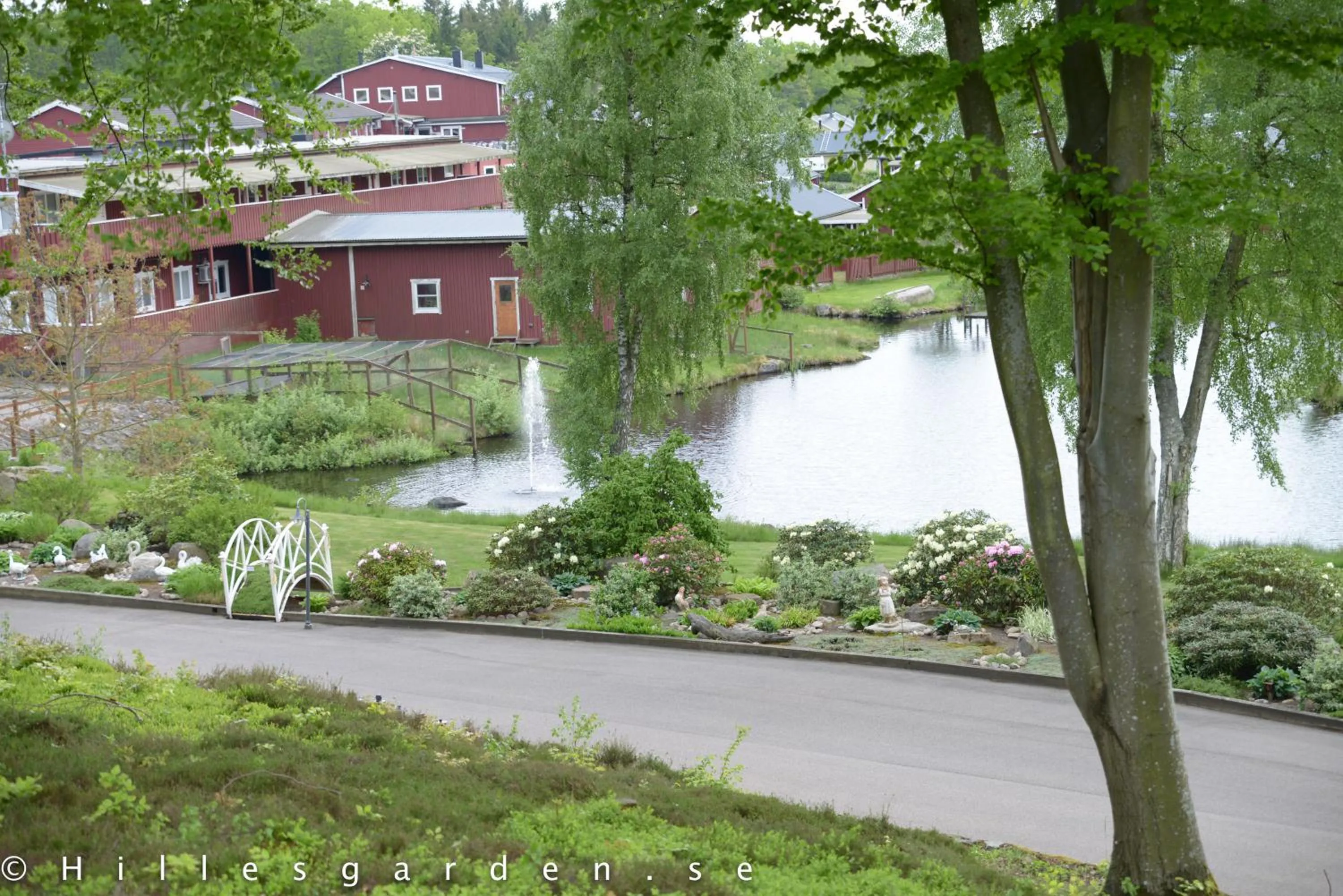 Natural landscape in Hillesgården