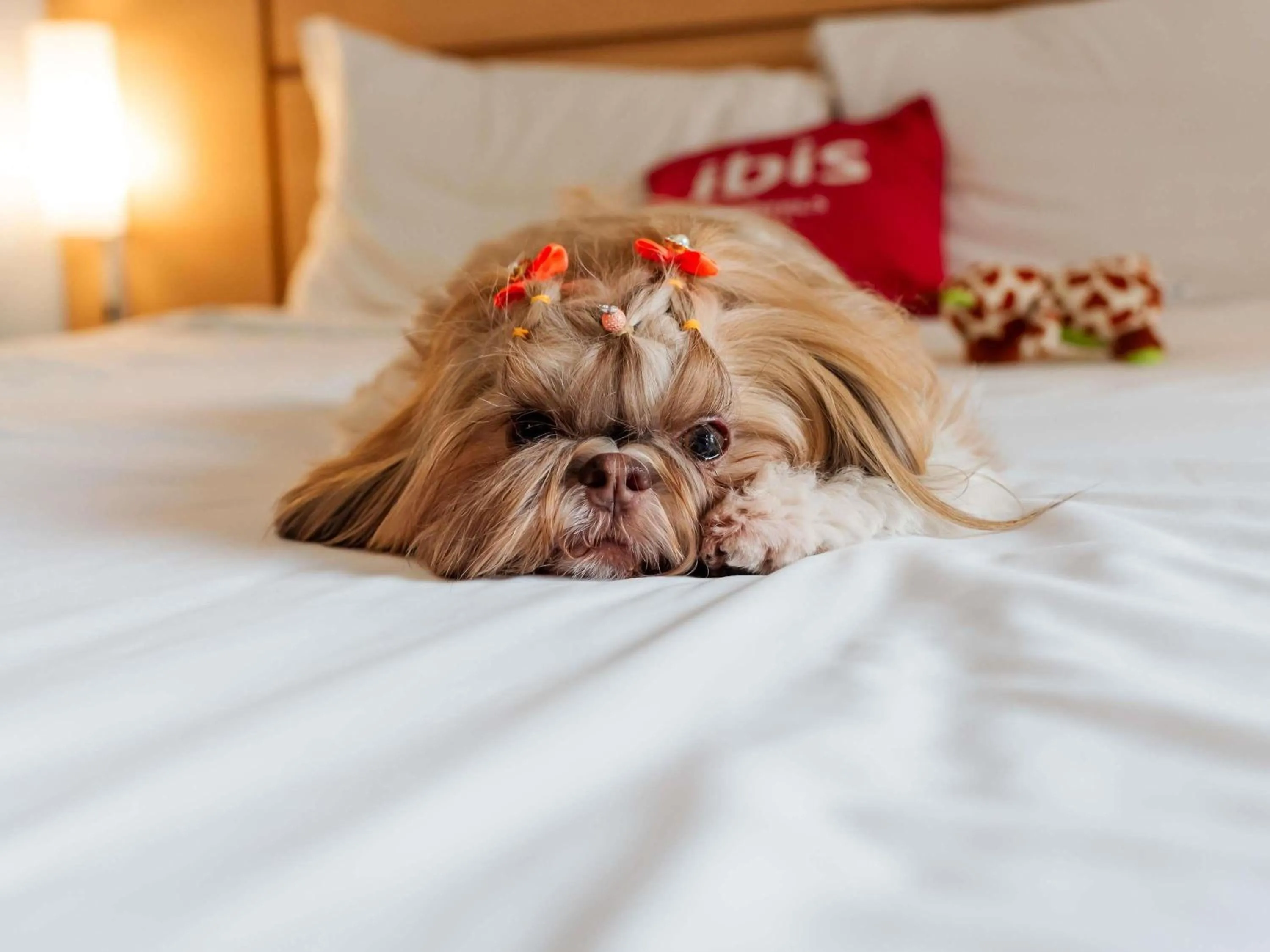 Bedroom in ibis Joinville