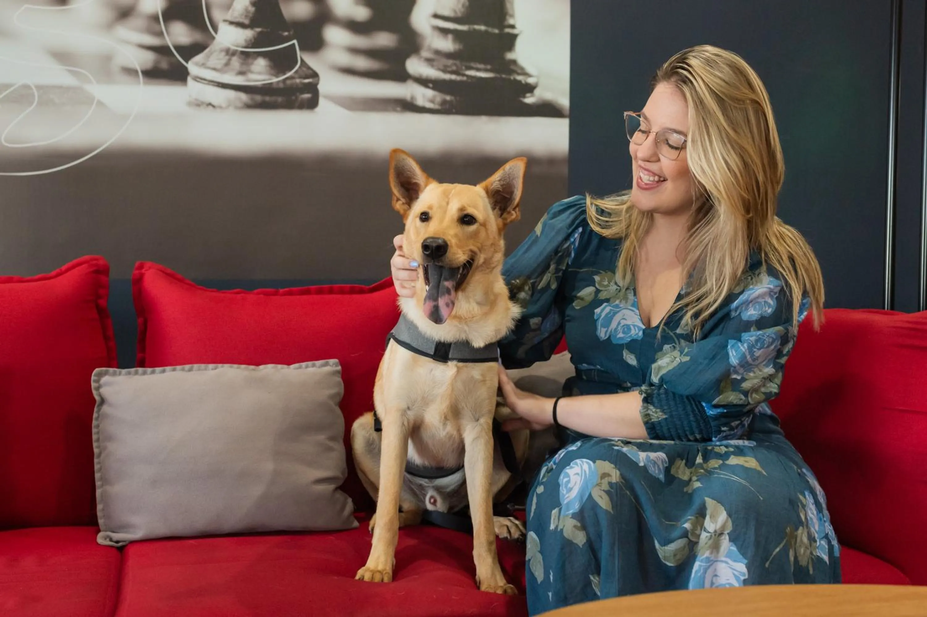 Pets in ibis Criciuma