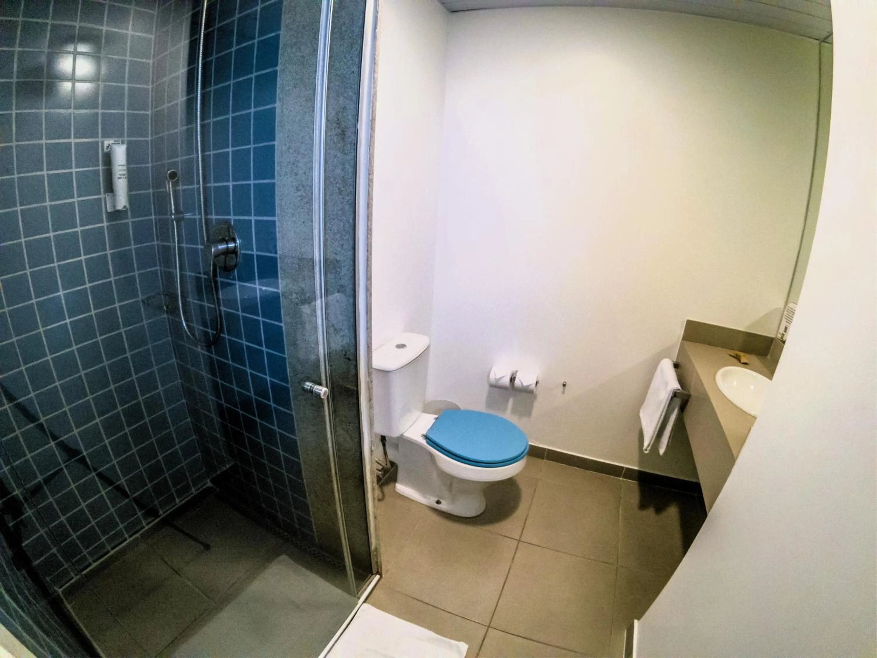 ibis Styles Sao Paulo Barra Funda