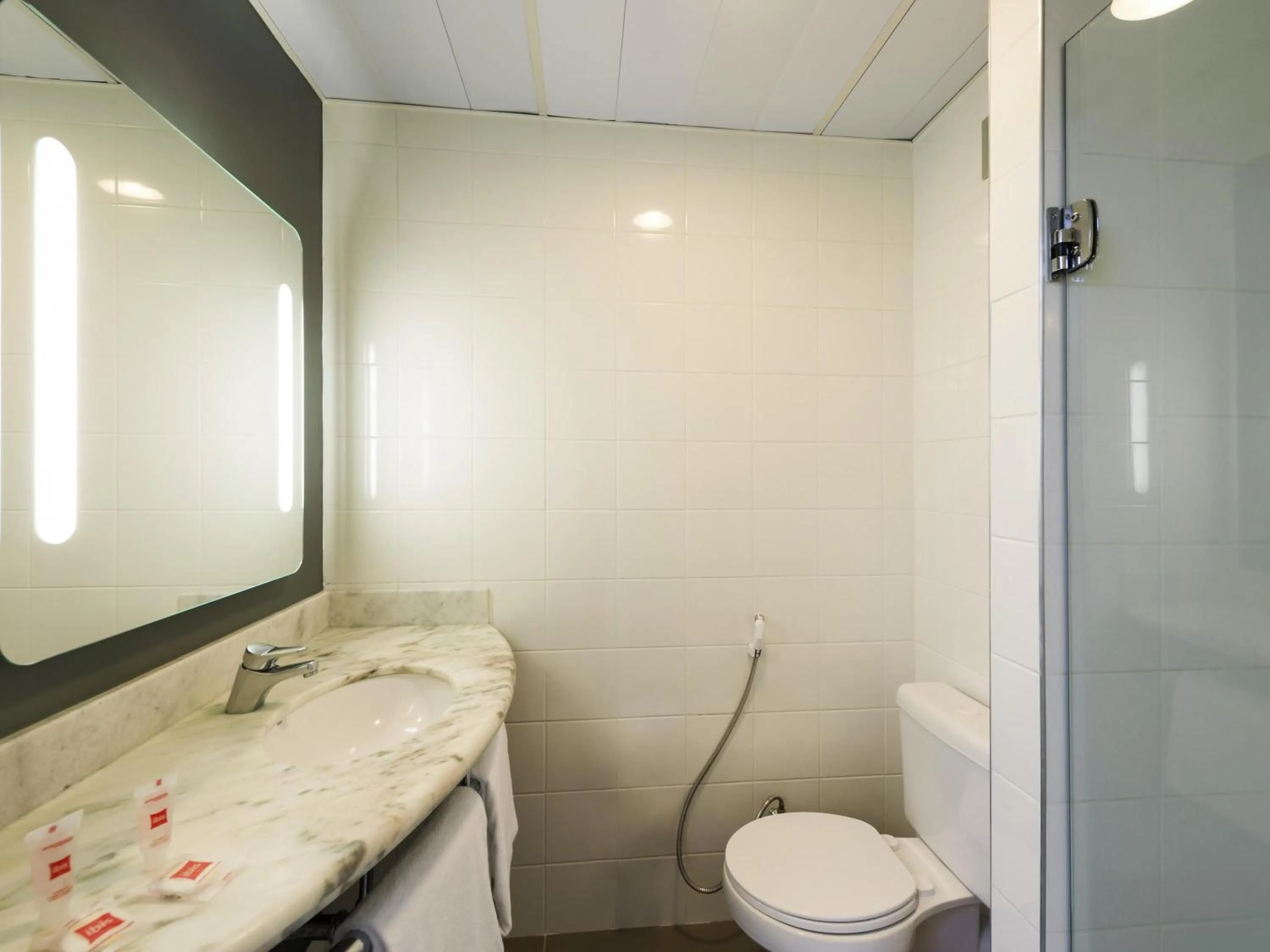 Bedroom in ibis Campinas