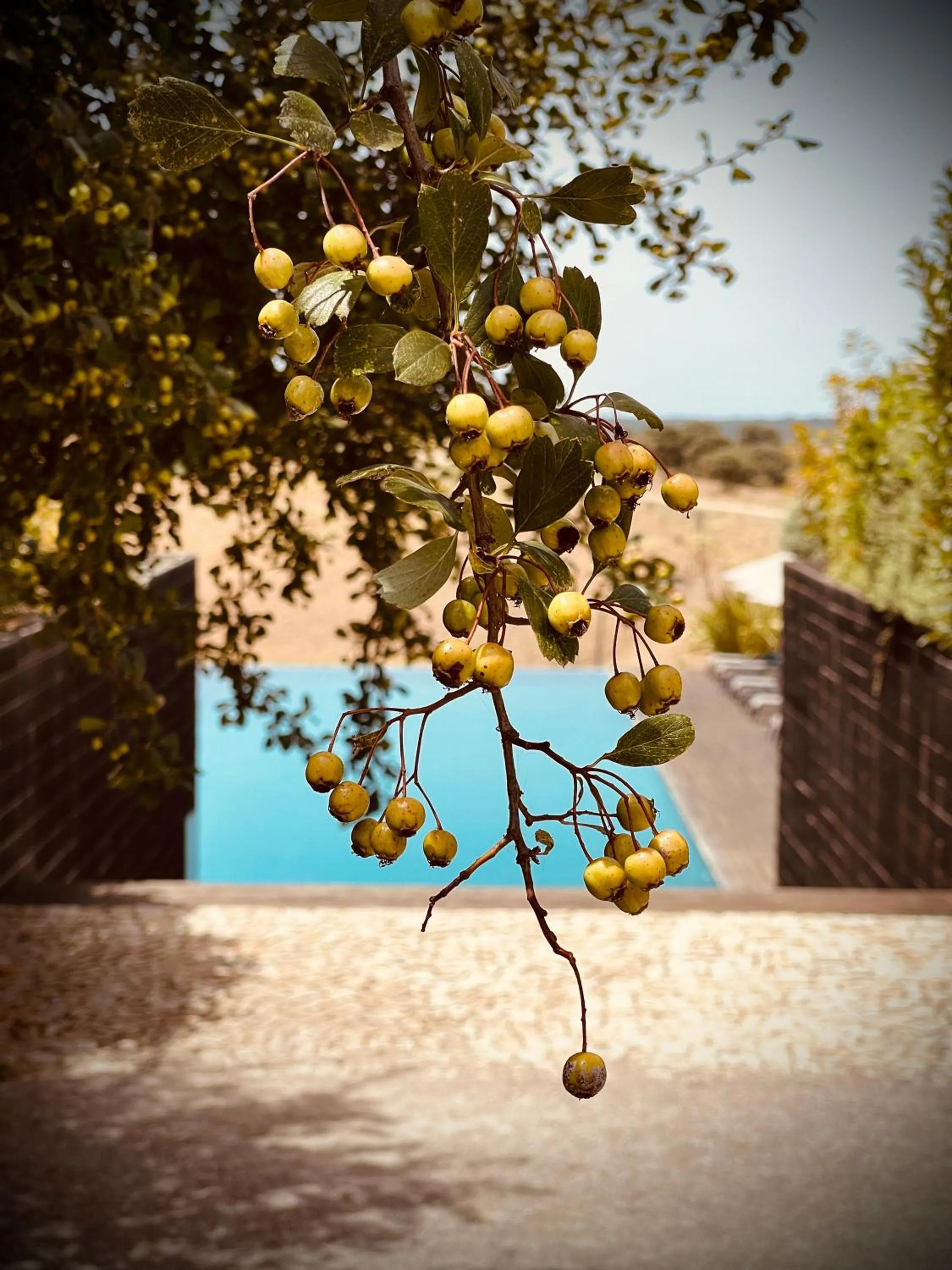 Swimming pool in Herdade da Cortesia Hotel