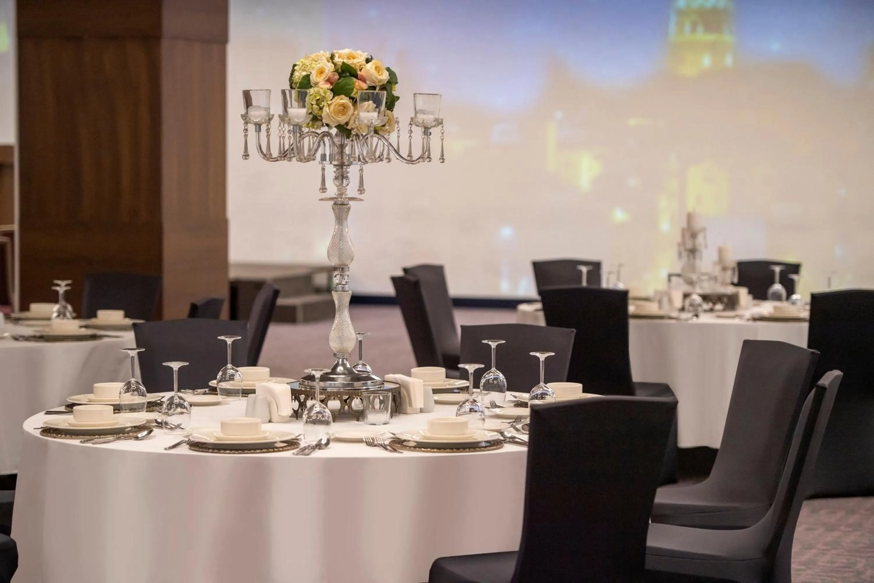 Meeting/conference room in Holiday Inn Kayseri - Duvenonu by IHG