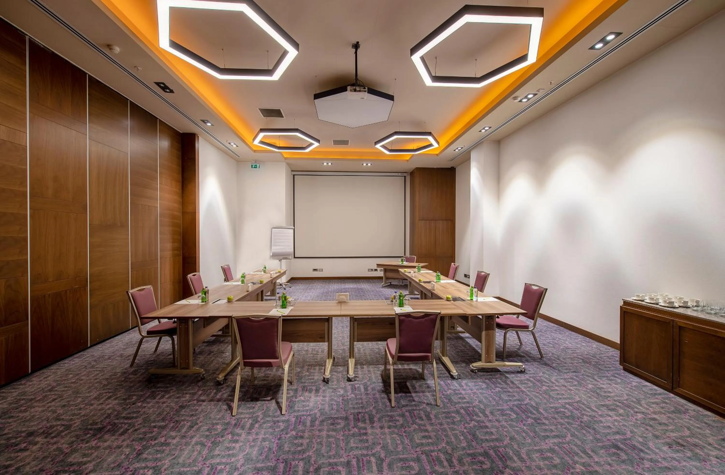 Meeting/conference room in Holiday Inn Kayseri - Duvenonu by IHG
