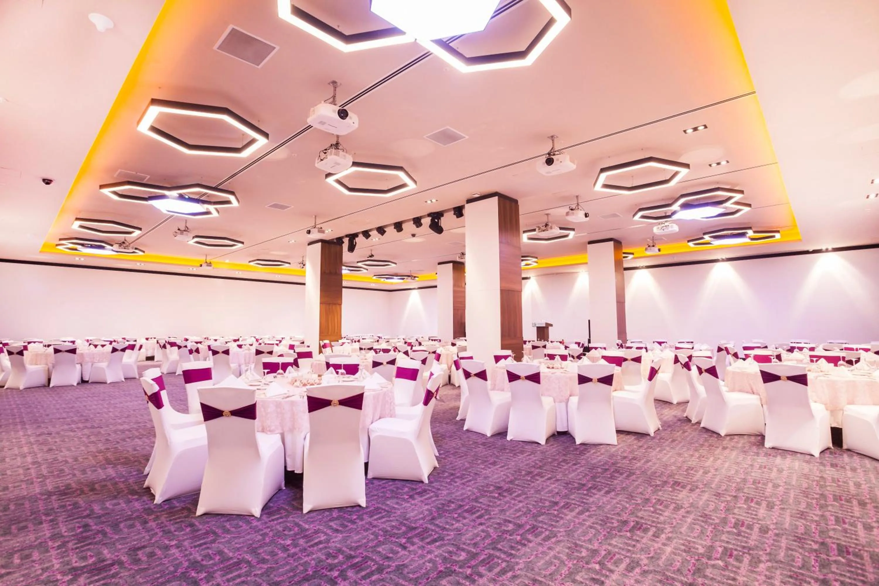 Banquet/Function facilities in Holiday Inn Kayseri - Duvenonu by IHG