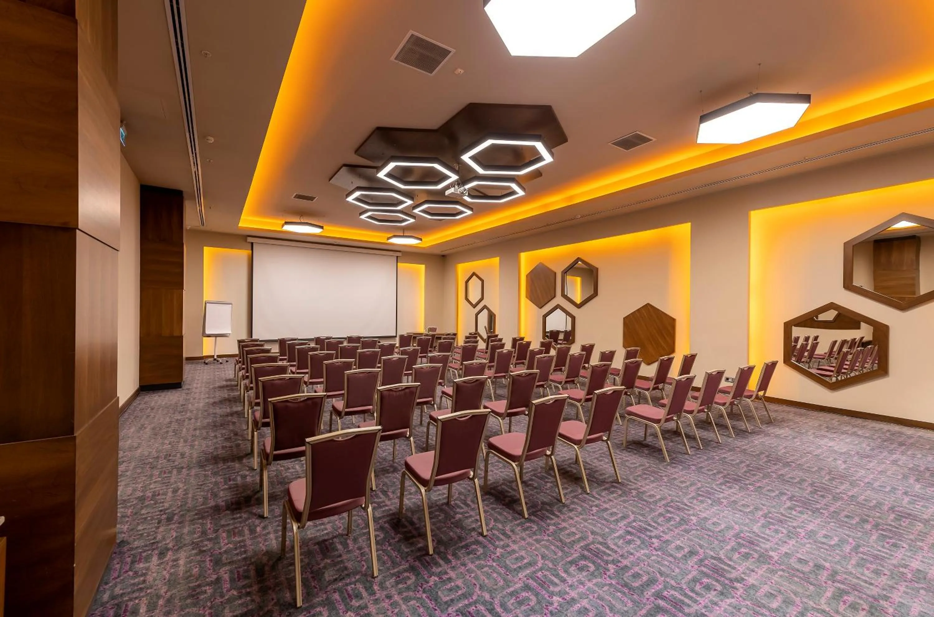 Meeting/conference room in Holiday Inn Kayseri - Duvenonu by IHG