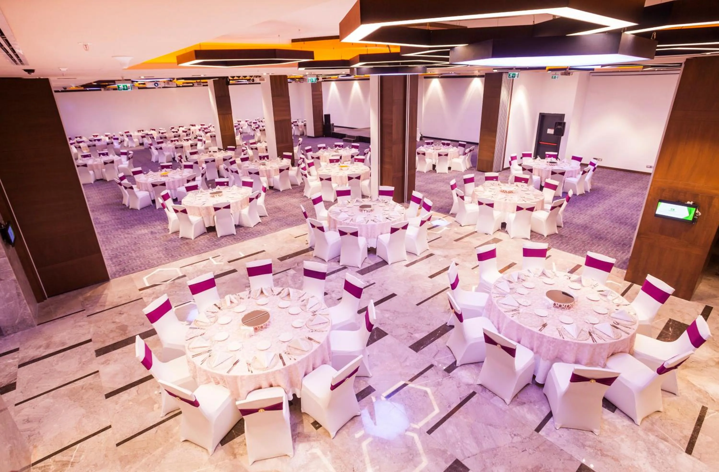 Banquet/Function facilities in Holiday Inn Kayseri - Duvenonu by IHG
