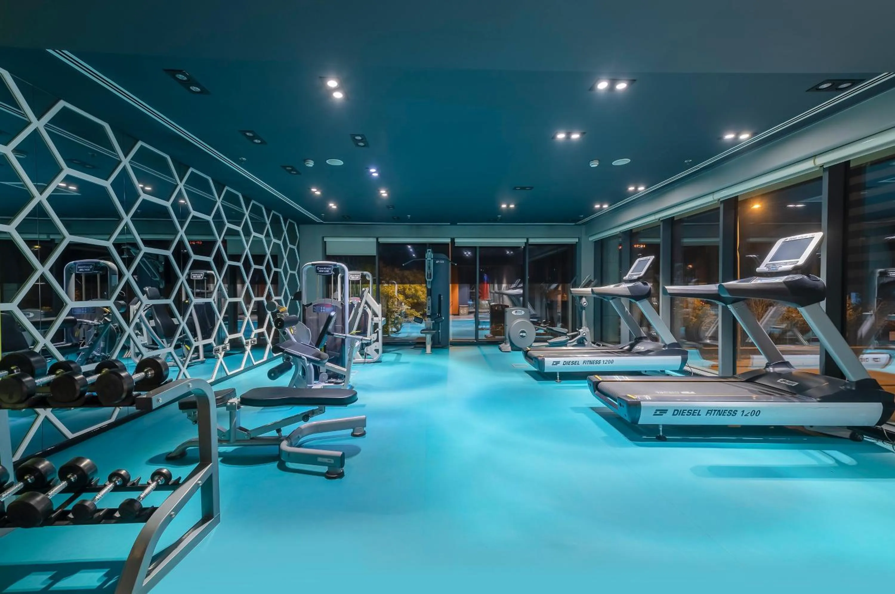 Fitness centre/facilities in Holiday Inn Kayseri - Duvenonu by IHG