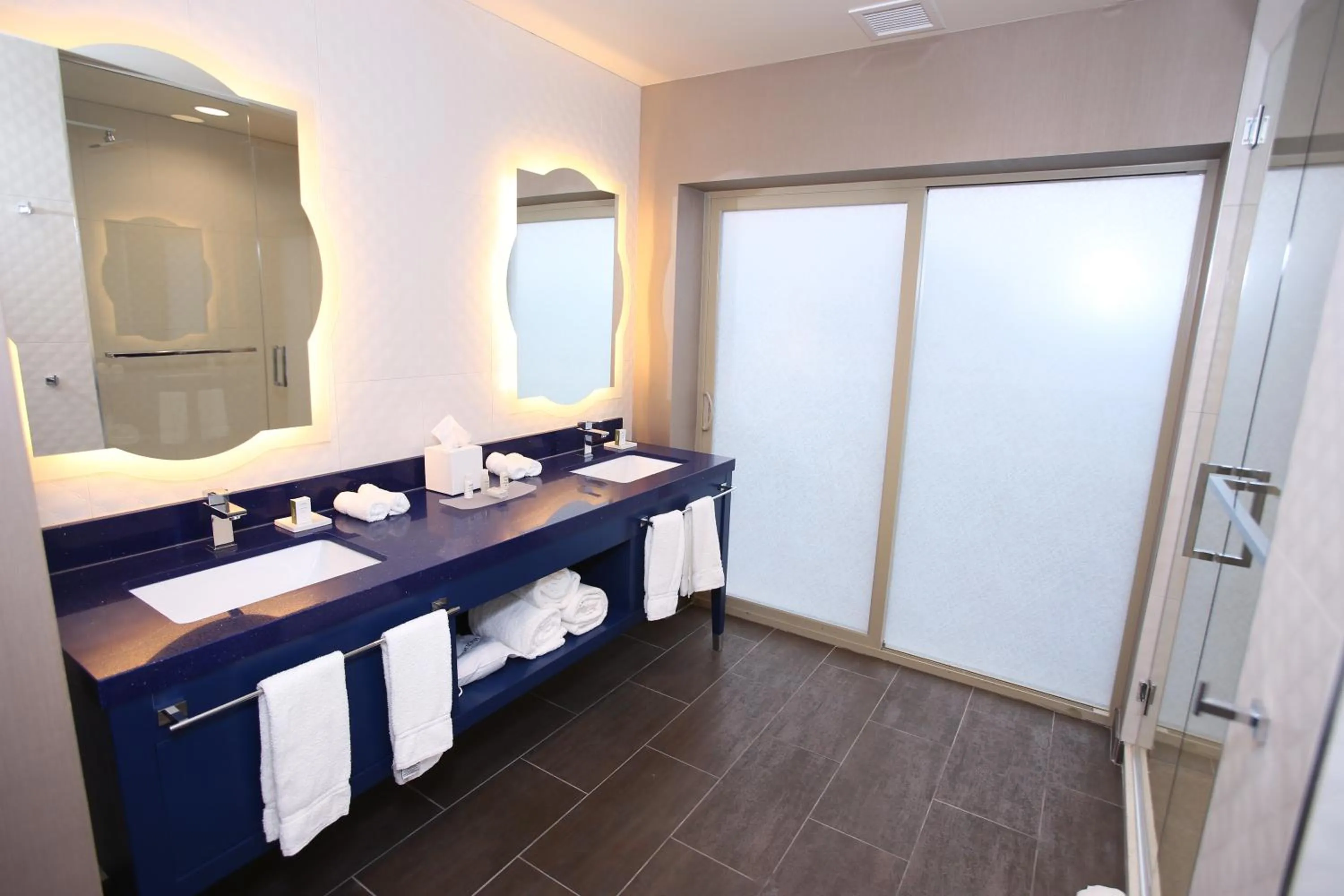 Bathroom, Bed in Hotel Indigo Naperville Riverwalk by IHG