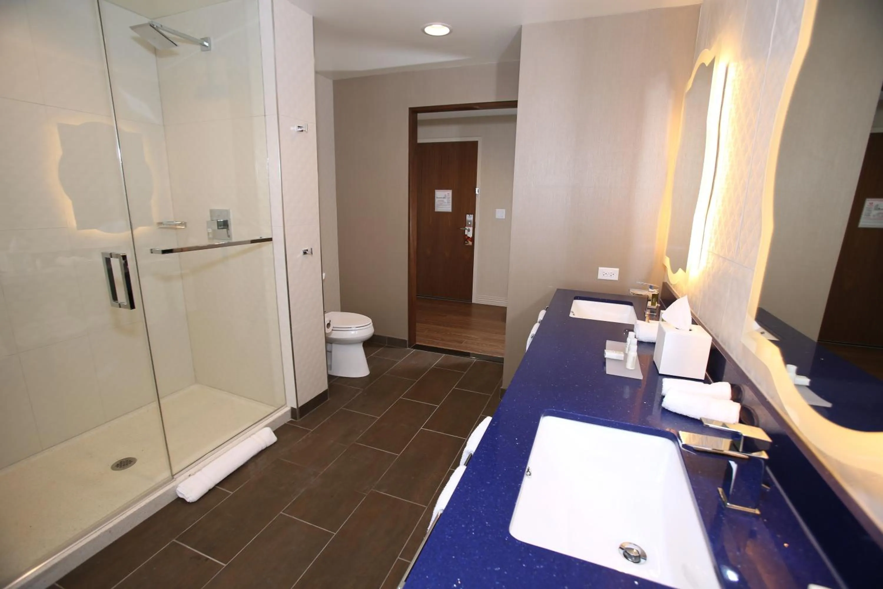 Bathroom in Hotel Indigo Naperville Riverwalk by IHG