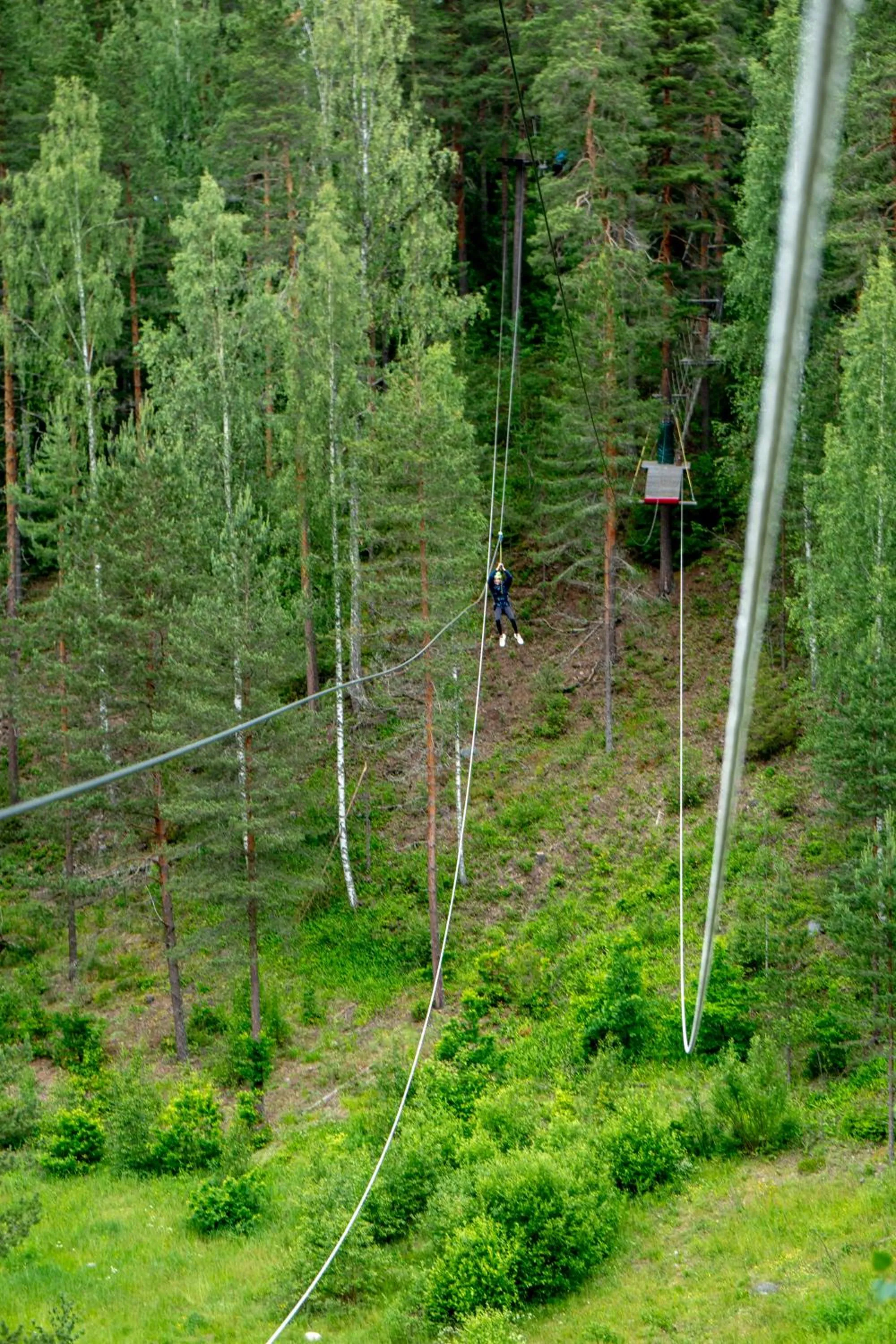 Activities in Quality Hotel Sveitsi