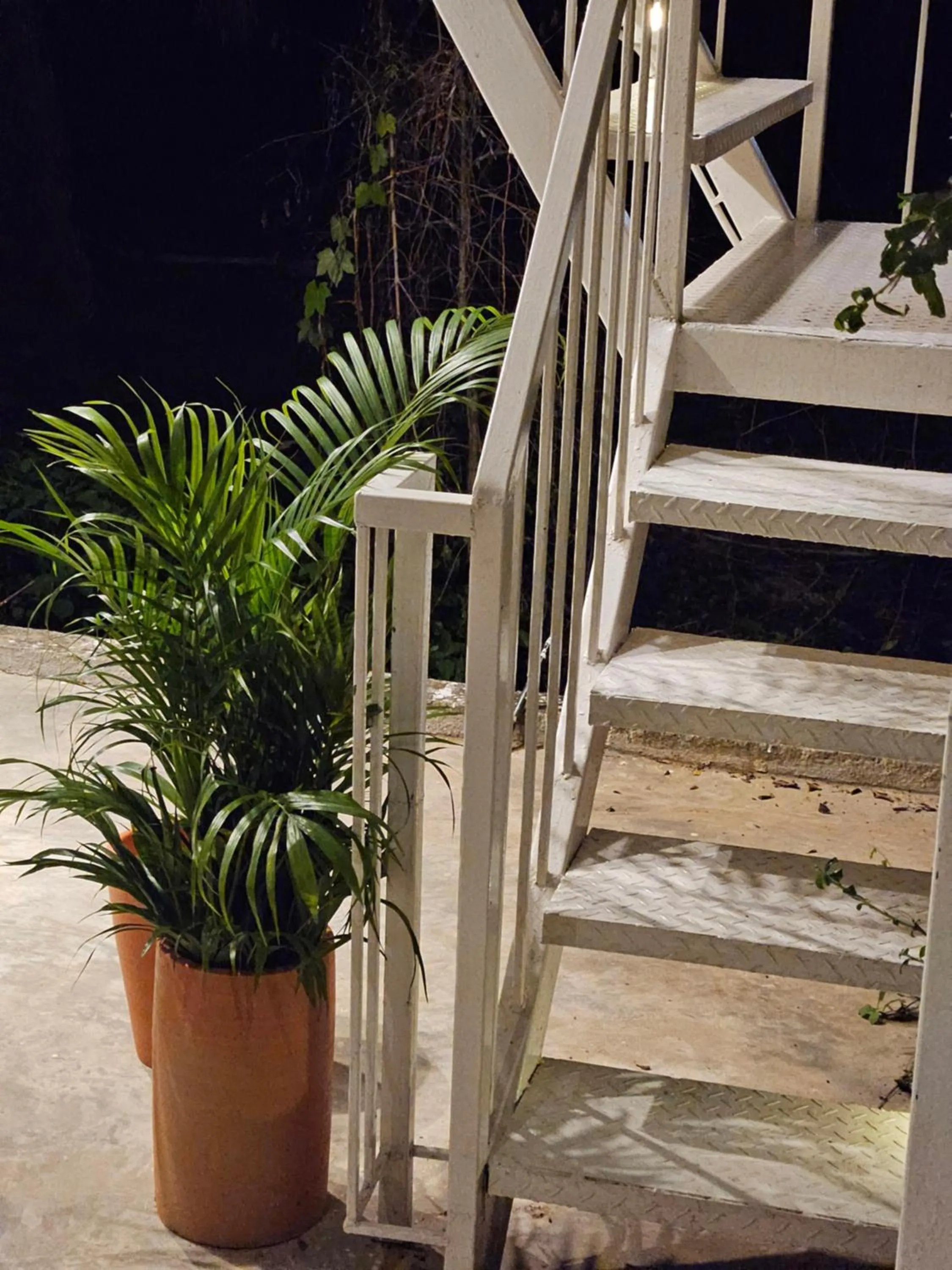 Facade/entrance in 88 Fine Hotel @ Suratthani Airport