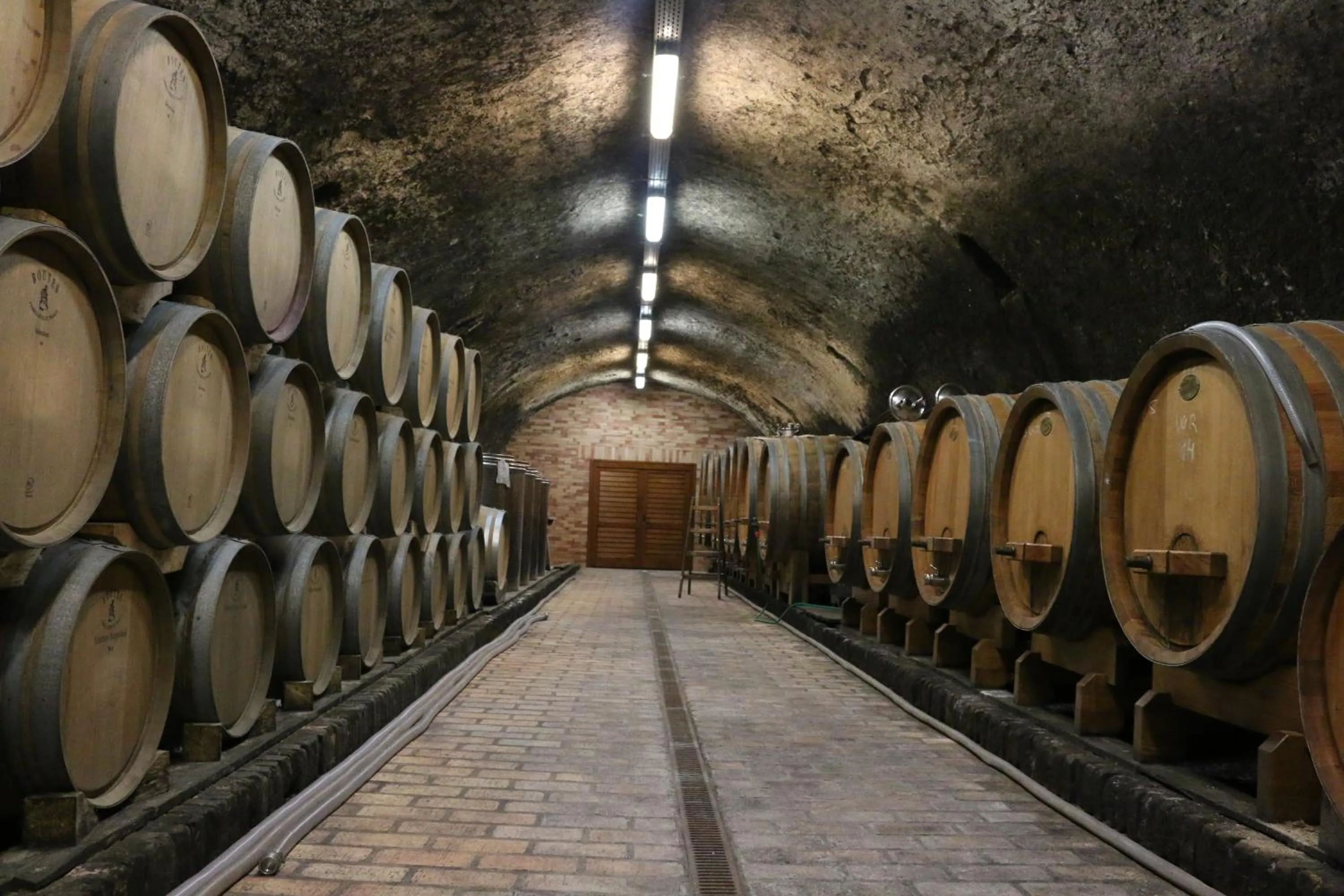 Area and facilities in Villa Tolnay Vendégház