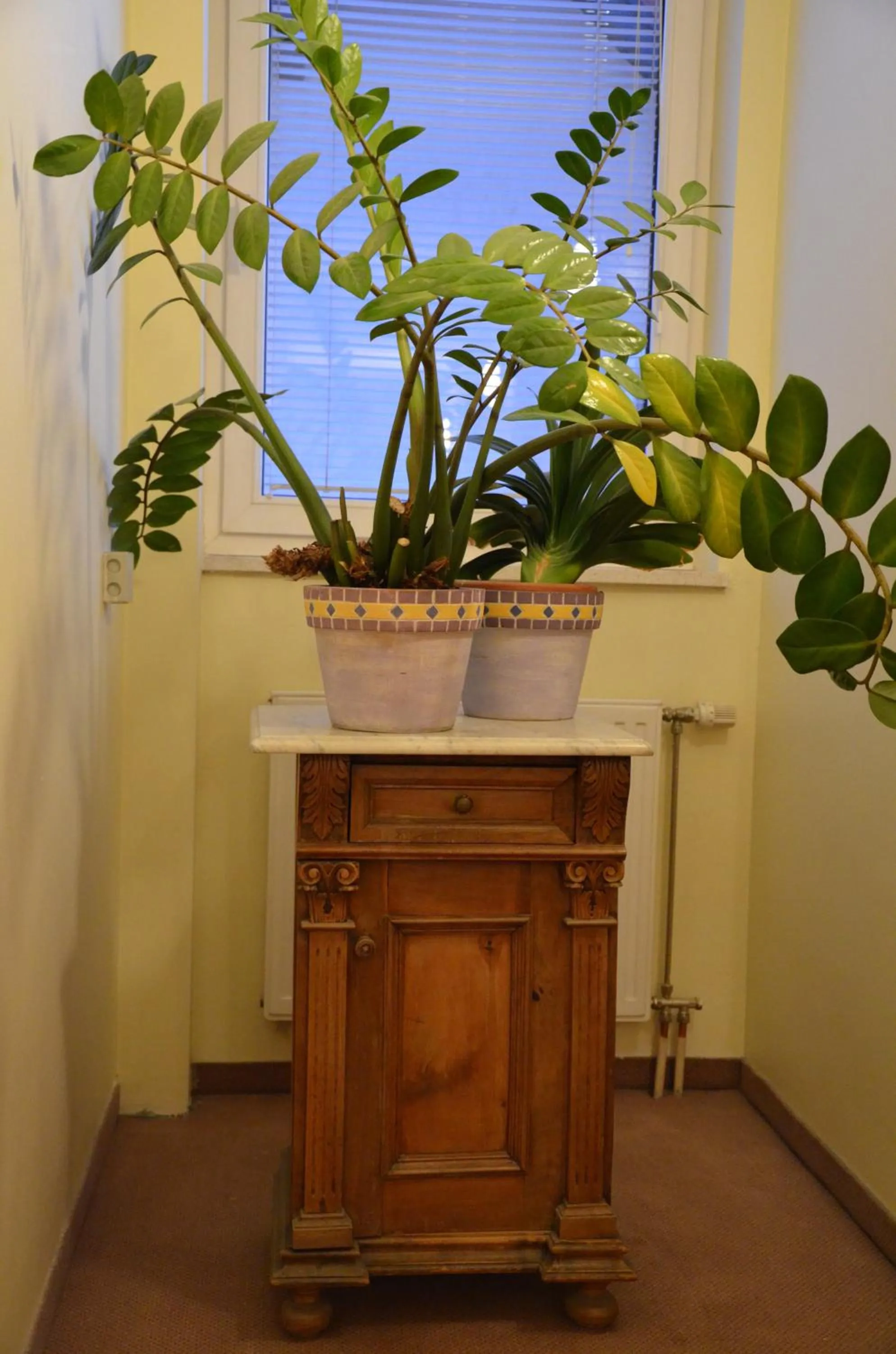 Decorative detail in Hotel Bajt Maribor